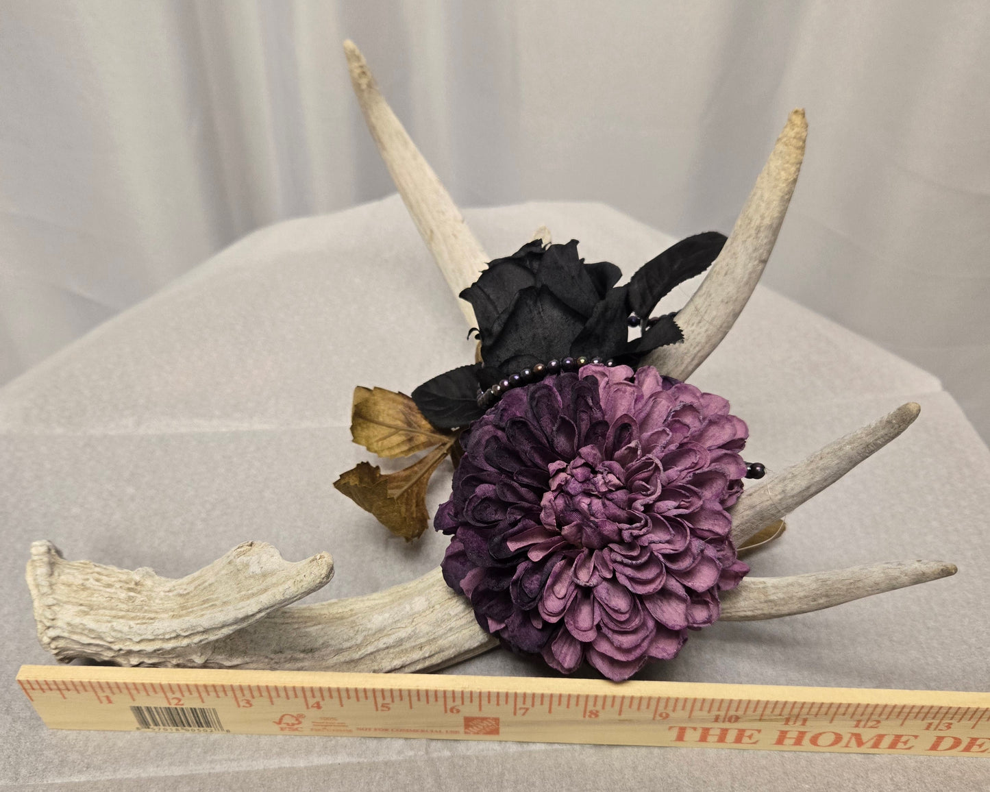 5-Point White-Tail Deer Antler Art | Rustic Black & Purple Decor, 13"