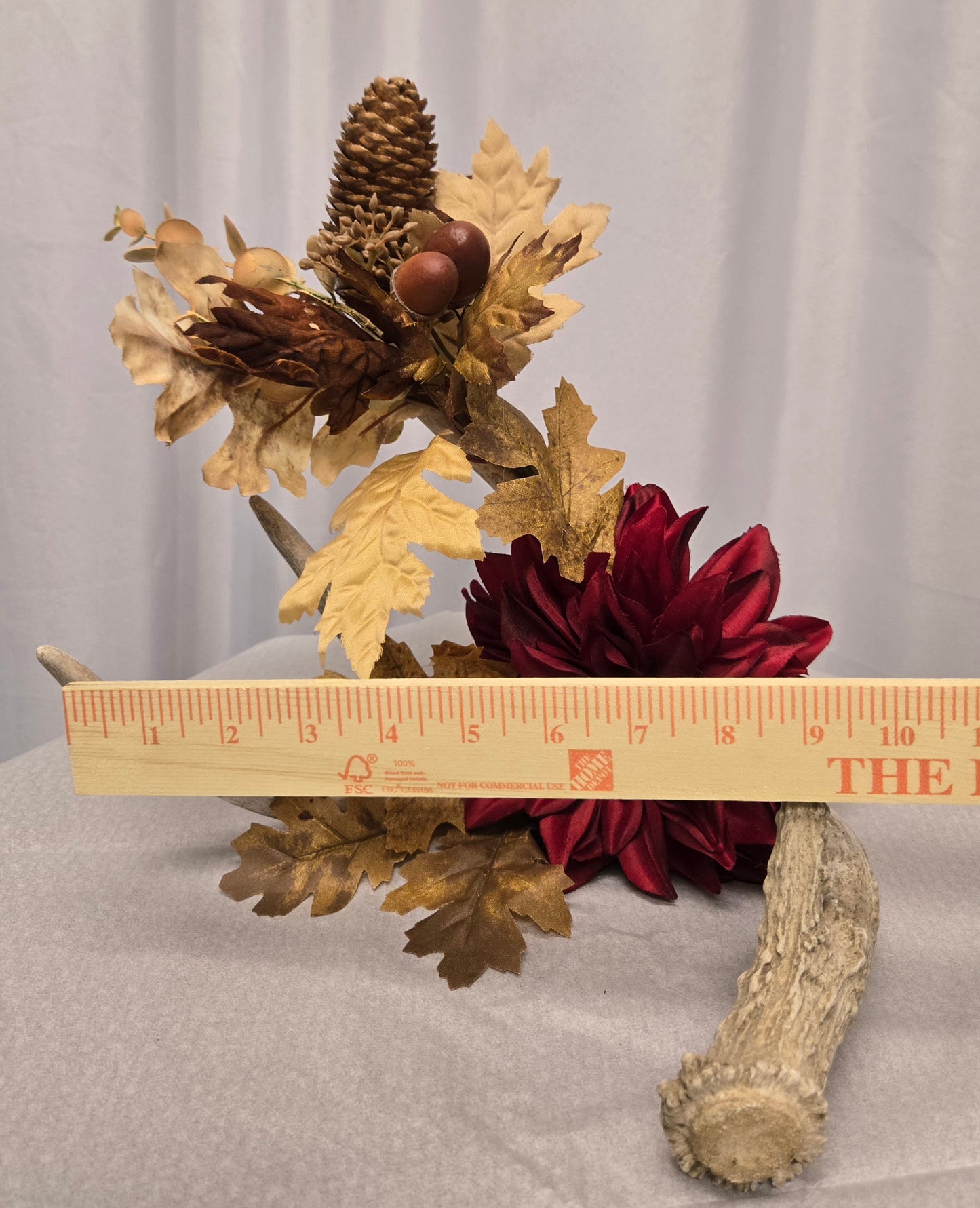 5-Point White-Tail Deer Antler Art | Rustic Brown, Burgundy & Natural Decor, 10"x12"