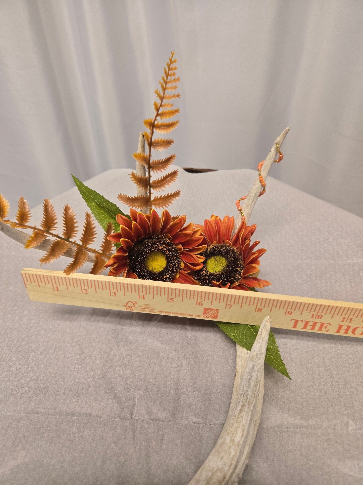 4-Point White-Tail Deer Antler Art | Rustic Orange & Natural Decor, 10"