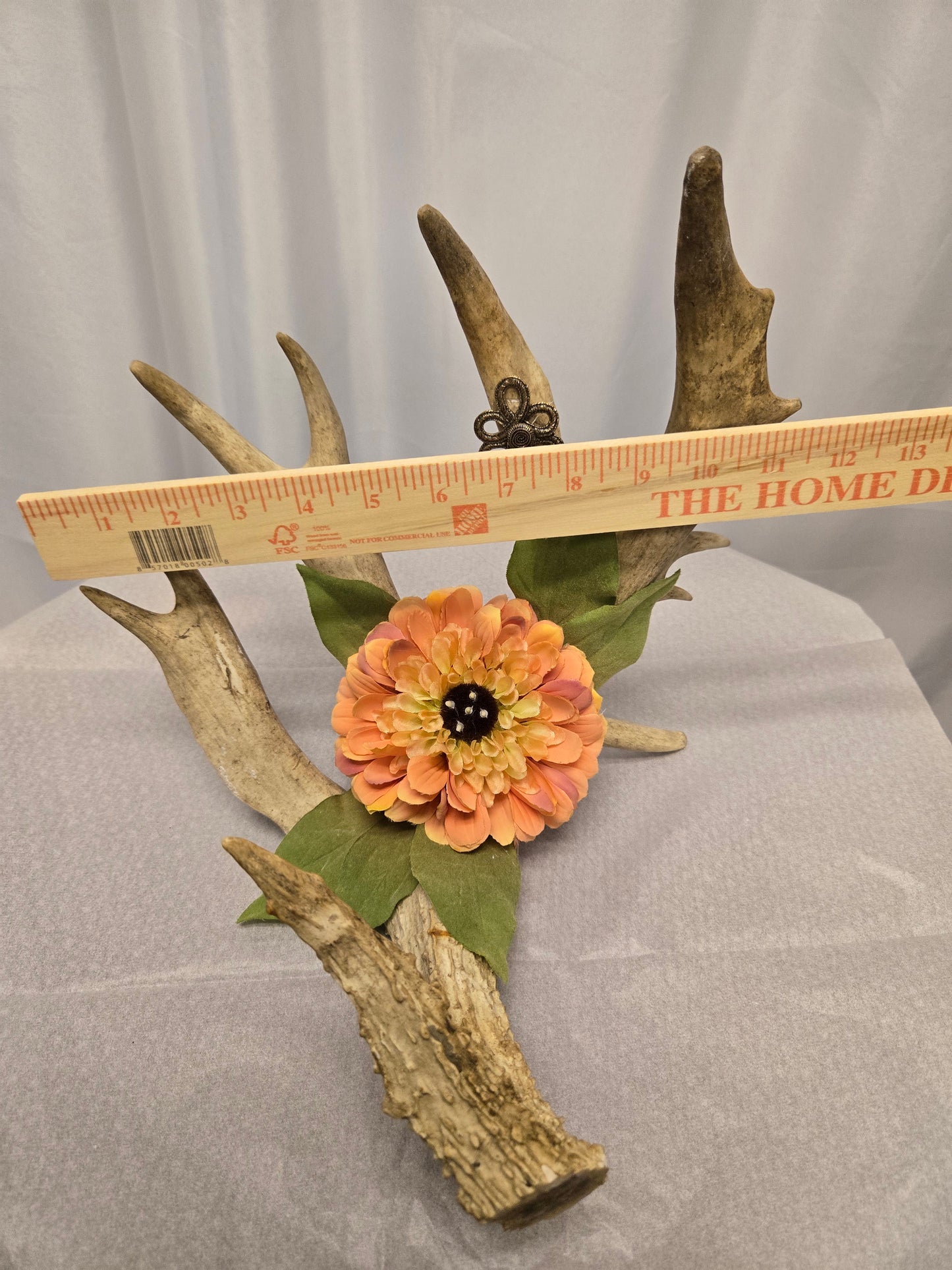 8-Point White-Tail Deer Antler Art | Rustic Orange, Brown & Natural, 12"x12"x12"