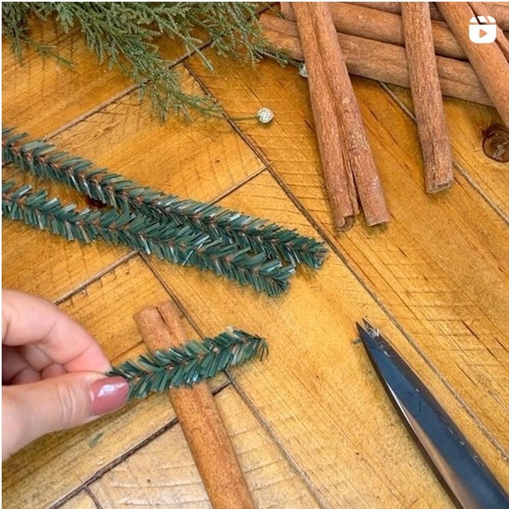 Single 12 inch Canadian pencil pine stem displaying natural evergreen coloring and authentic needle formation