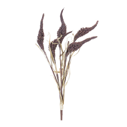 Bundle of twelve seeded harvest bushes with brown and tan foliage and seed pod accents