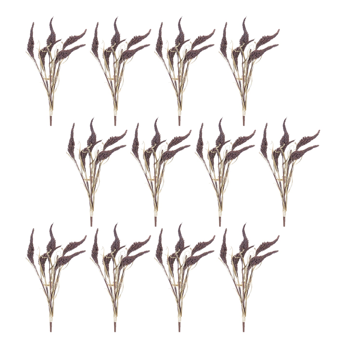 Bundle of twelve seeded harvest bushes with brown and tan foliage and seed pod accents