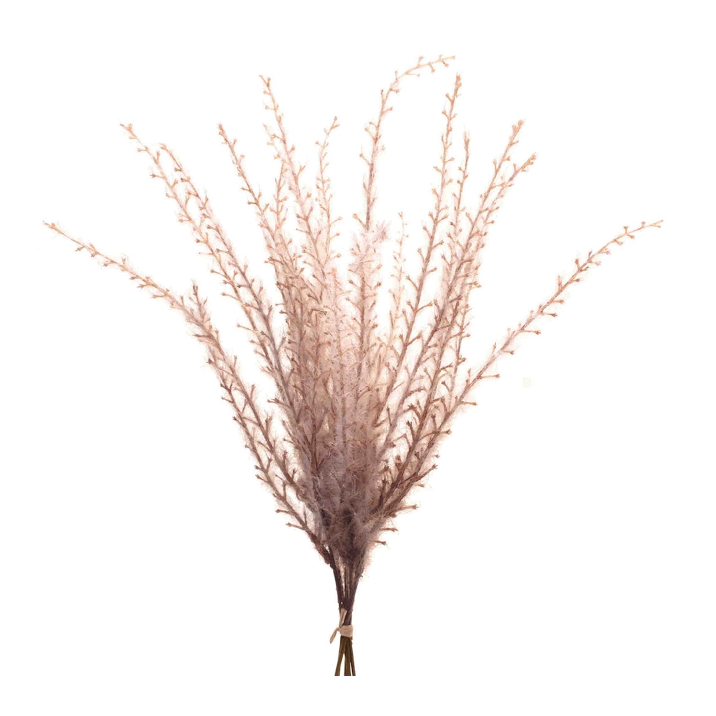 Set of six grass plume bundles with feathery beige plumes for rustic fall décor accents