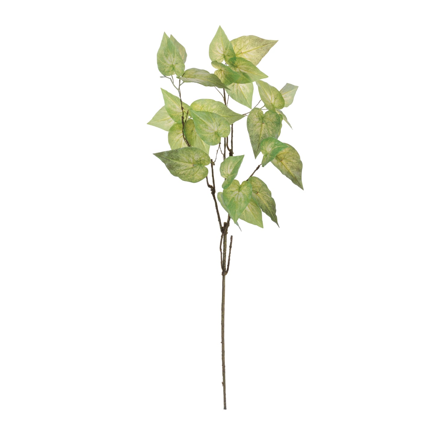 Set of 4 anthurium leaf branches with tropical glossy green foliage and wired stems