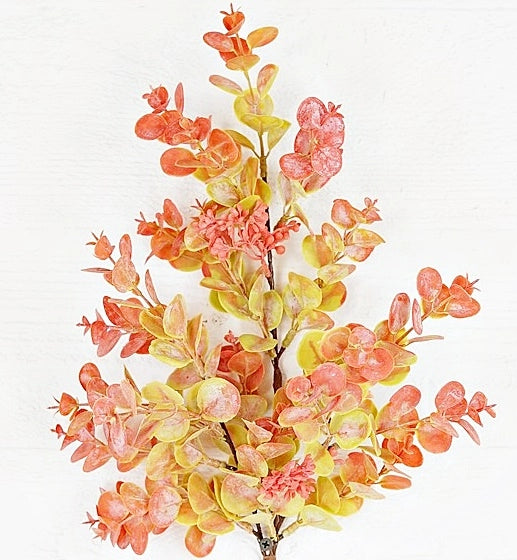 19" Bush-Orange Mix - Eucalyptus with Seeds Floral Pick Impressive Enterprises, Inc.   