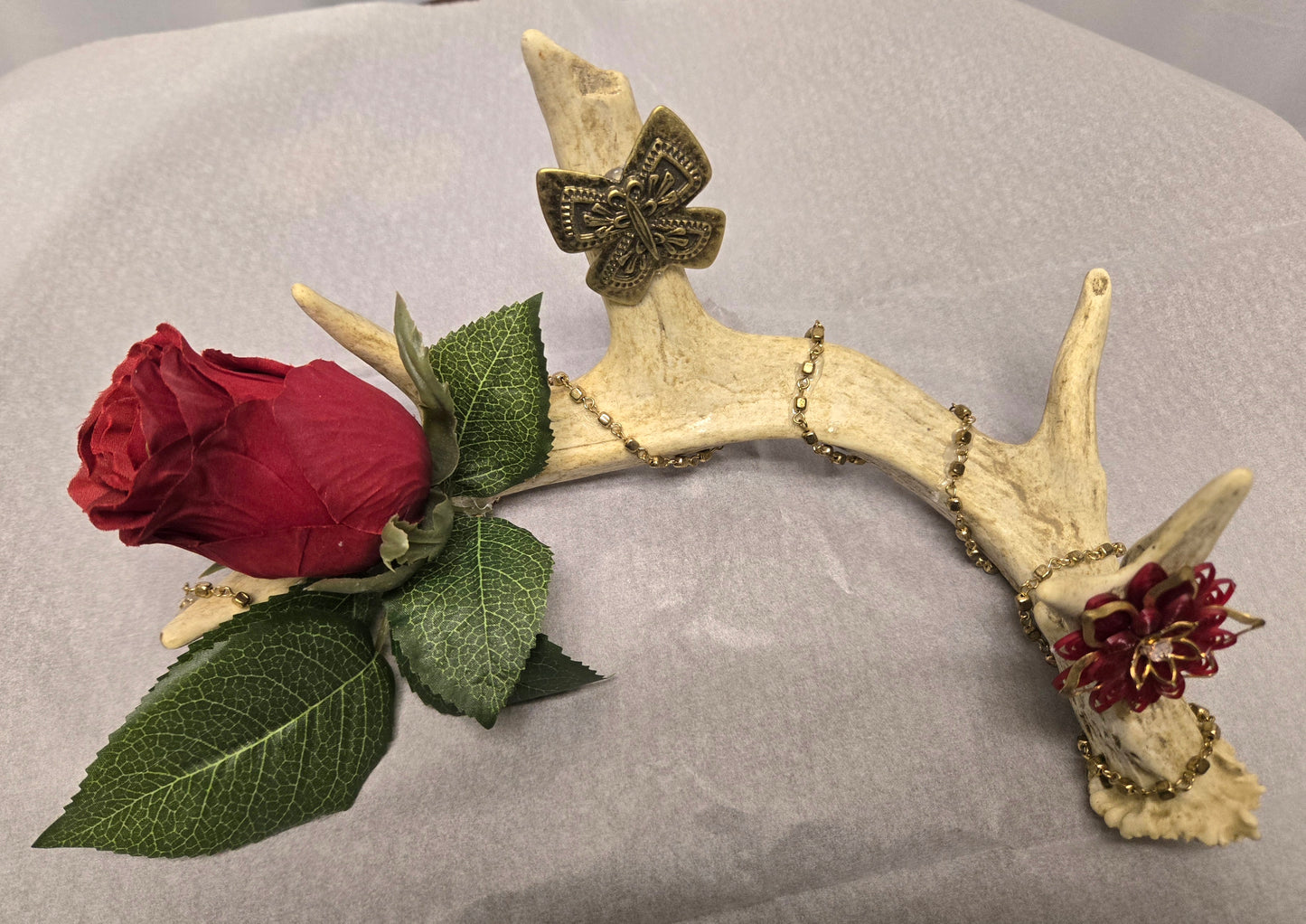 5-Point White-Tail Deer Antler Art | Rustic Red & Natural Decor, 10"