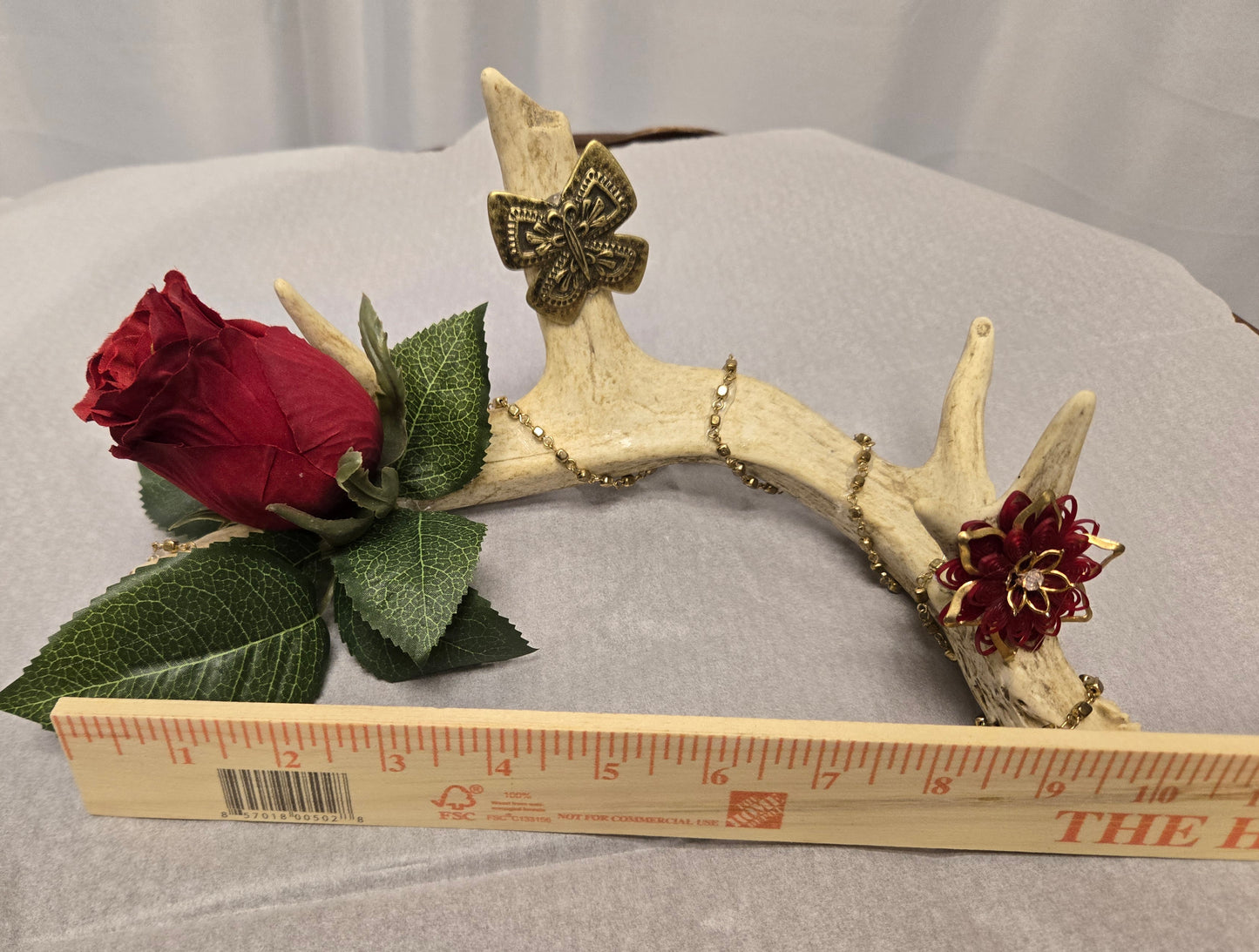 5-Point White-Tail Deer Antler Art | Rustic Red & Natural Decor, 10"