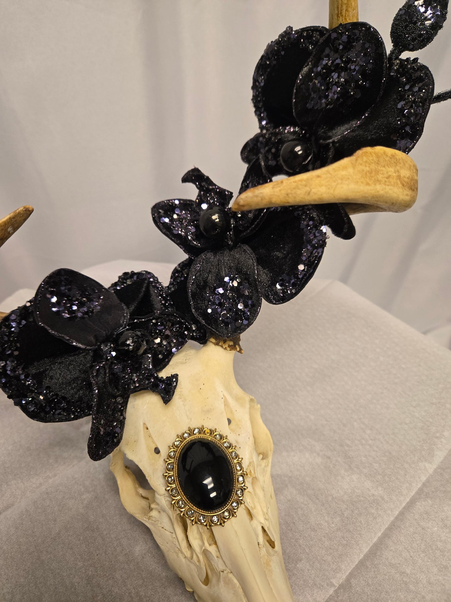 4-Point White-Tail Deer Head & Antlers Art | Rustic Black & Natural Decor, 12"x13"