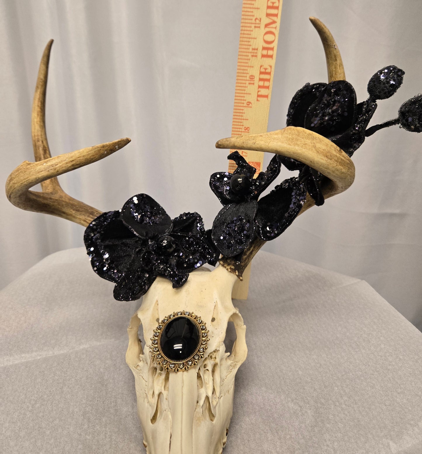 4-Point White-Tail Deer Head & Antlers Art | Rustic Black & Natural Decor, 12"x13"