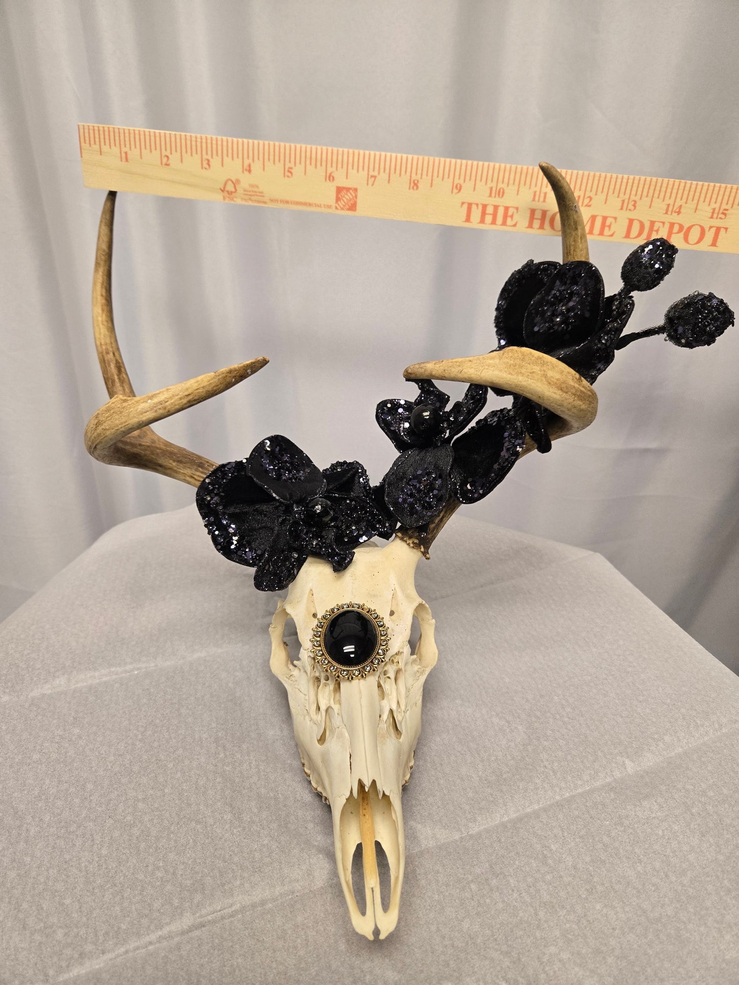 4-Point White-Tail Deer Head & Antlers Art | Rustic Black & Natural Decor, 12"x13"