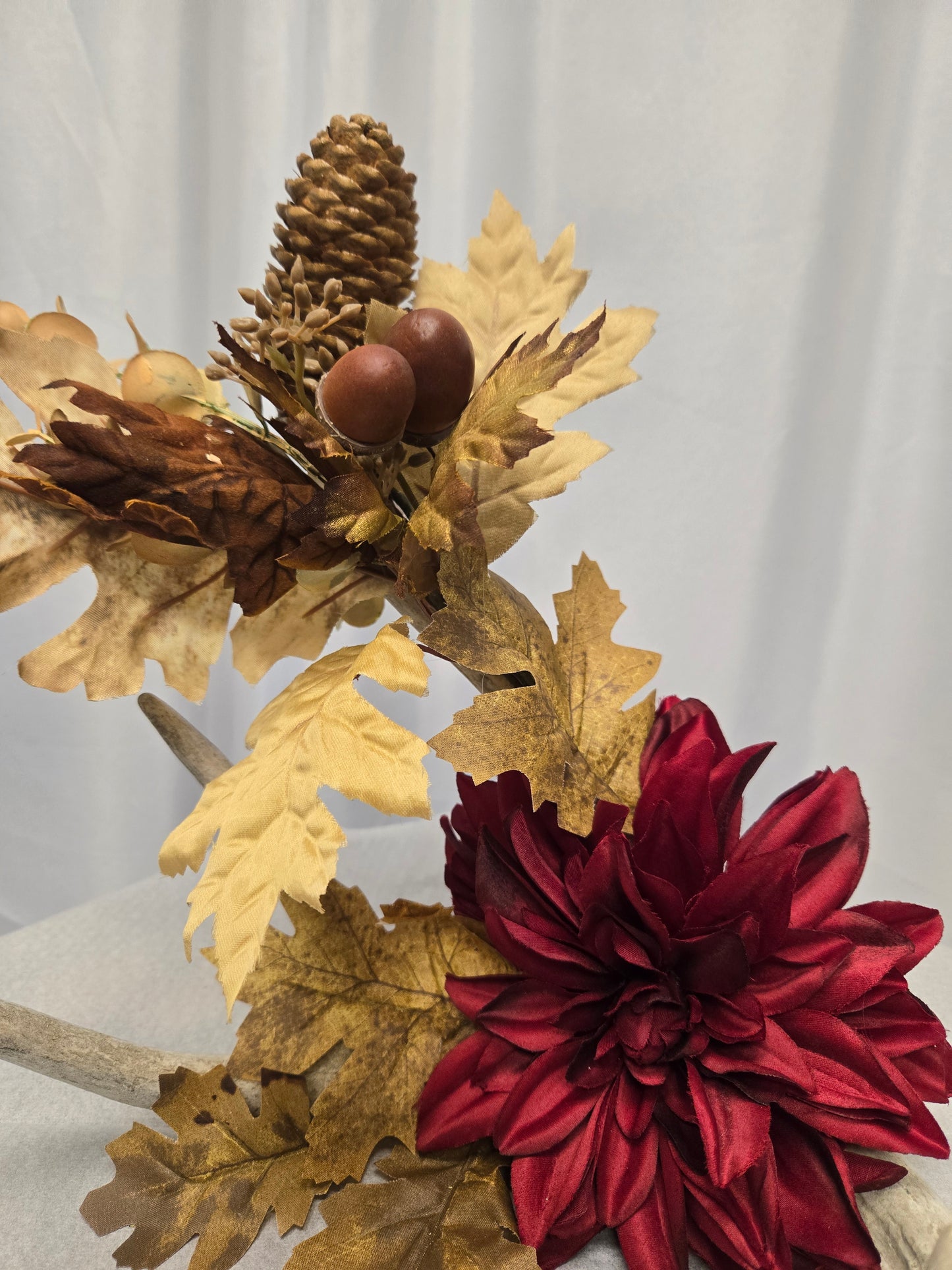 5-Point White-Tail Deer Antler Art | Rustic Brown, Burgundy & Natural Decor, 10"x12"