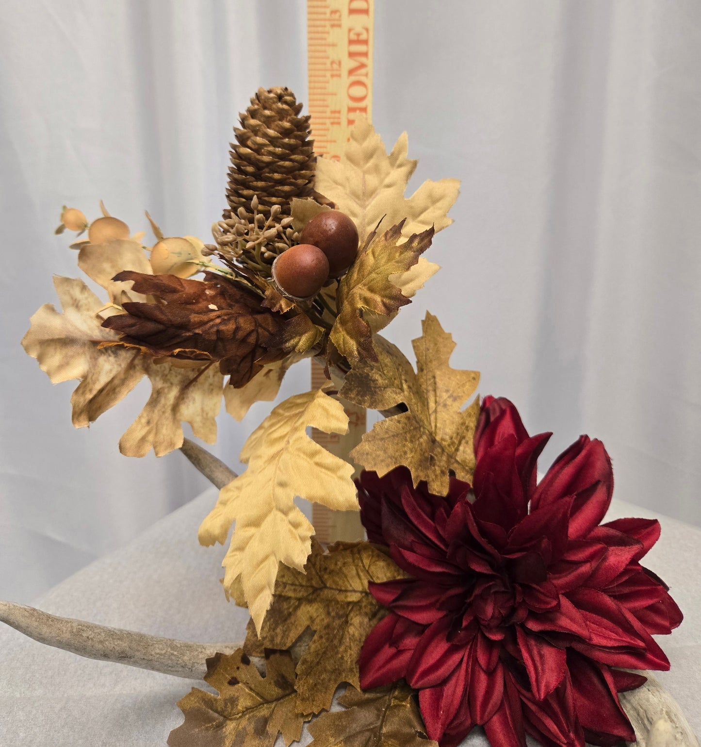 5-Point White-Tail Deer Antler Art | Rustic Brown, Burgundy & Natural Decor, 10"x12"