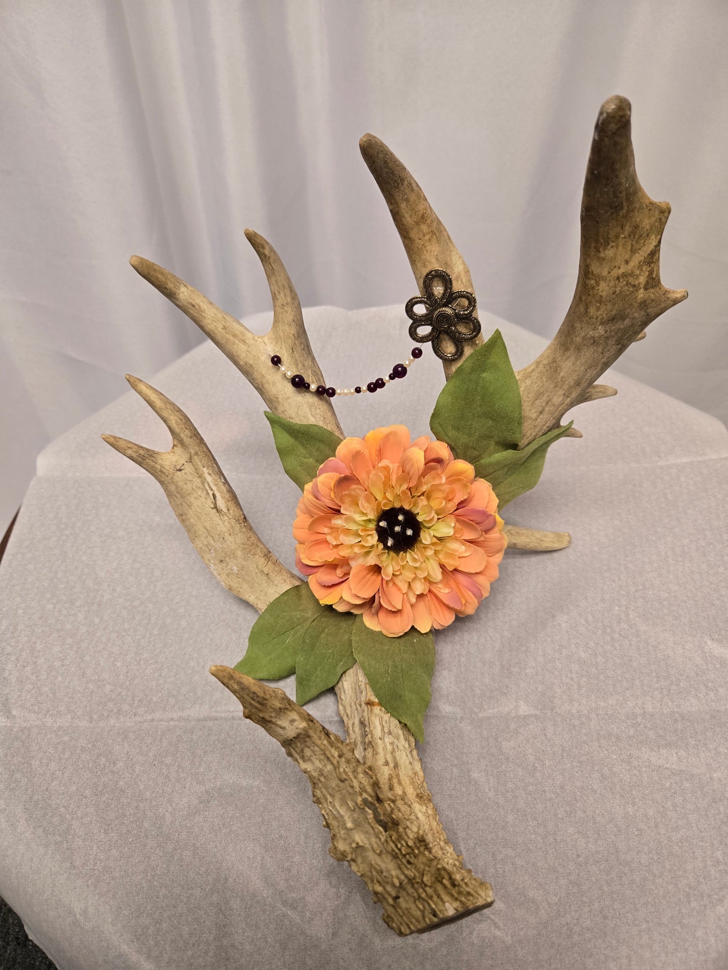 8-Point White-Tail Deer Antler Art | Rustic Orange, Brown & Natural, 12"x12"x12"