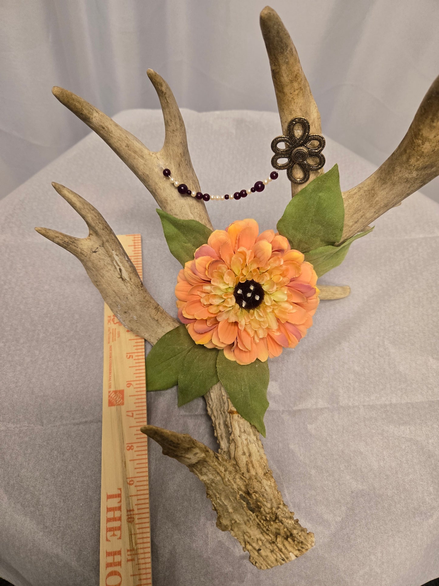 8-Point White-Tail Deer Antler Art | Rustic Orange, Brown & Natural, 12"x12"x12"