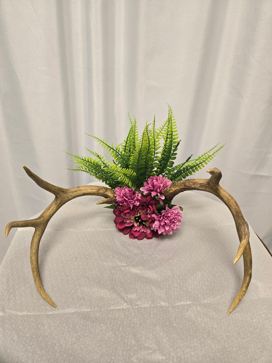 6-Point White-Tail Deer Double-Antler Art | Rustic Pink & Natural, 9"x13"