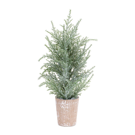 Set of four 15-inch frosted mini pine trees in weathered paper pots