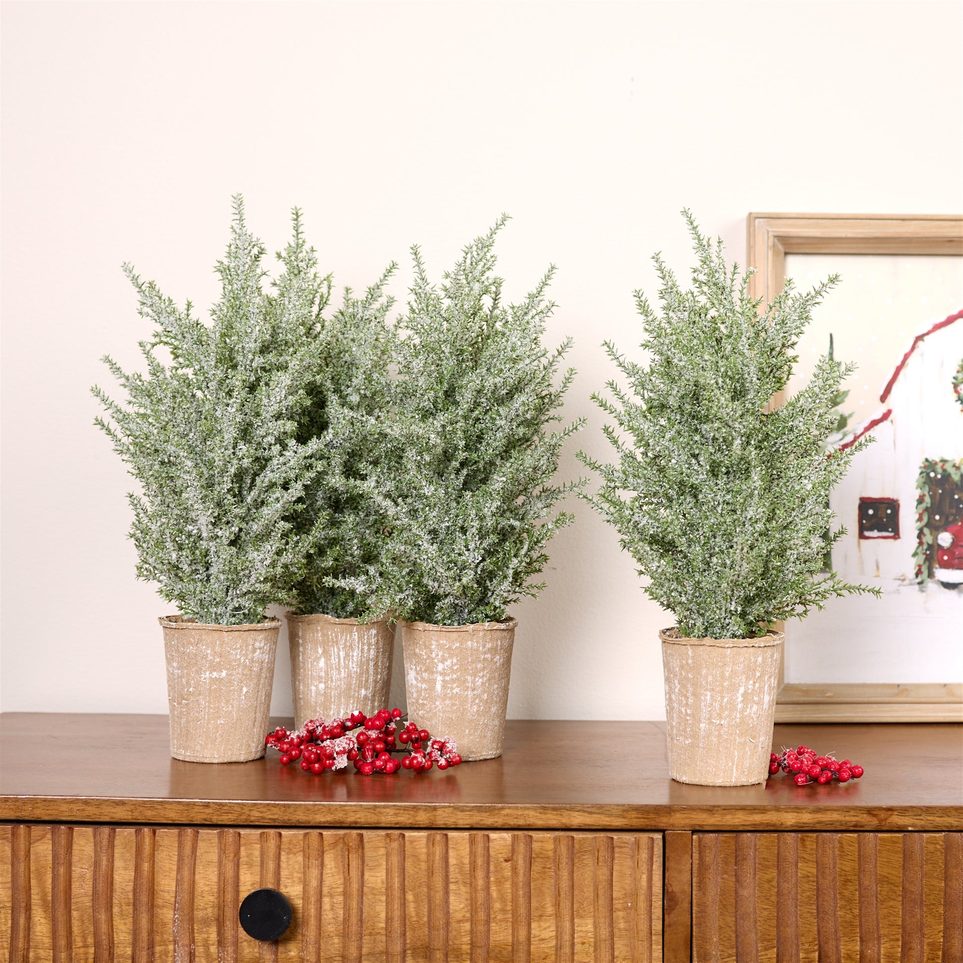 Rustic weathered paper pot on a 15-inch mini pine tree