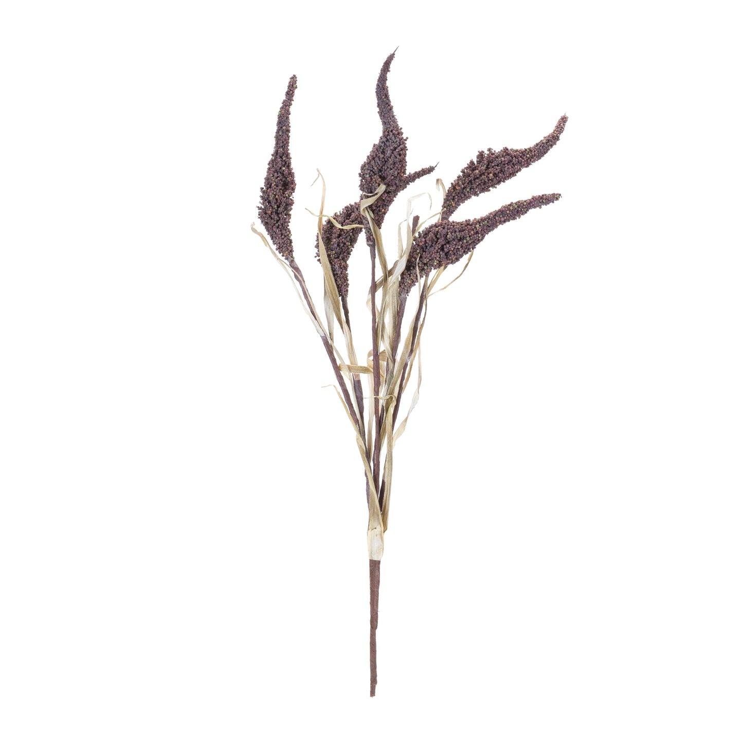 Bundle of twelve seeded harvest bushes with brown and tan foliage and seed pod accents
