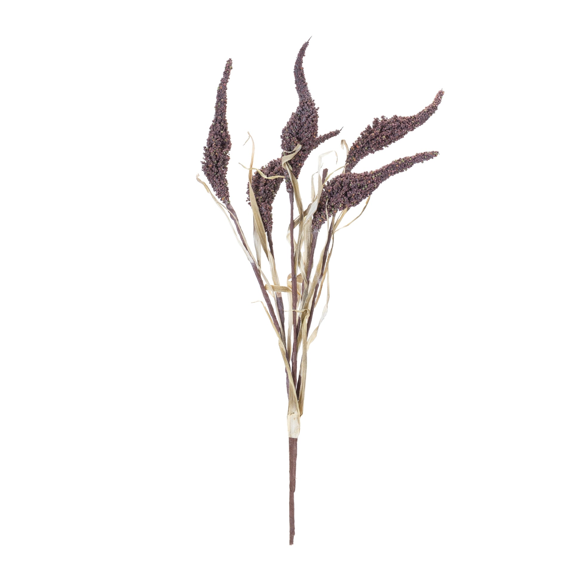 Bundle of twelve seeded harvest bushes with brown and tan foliage and seed pod accents
