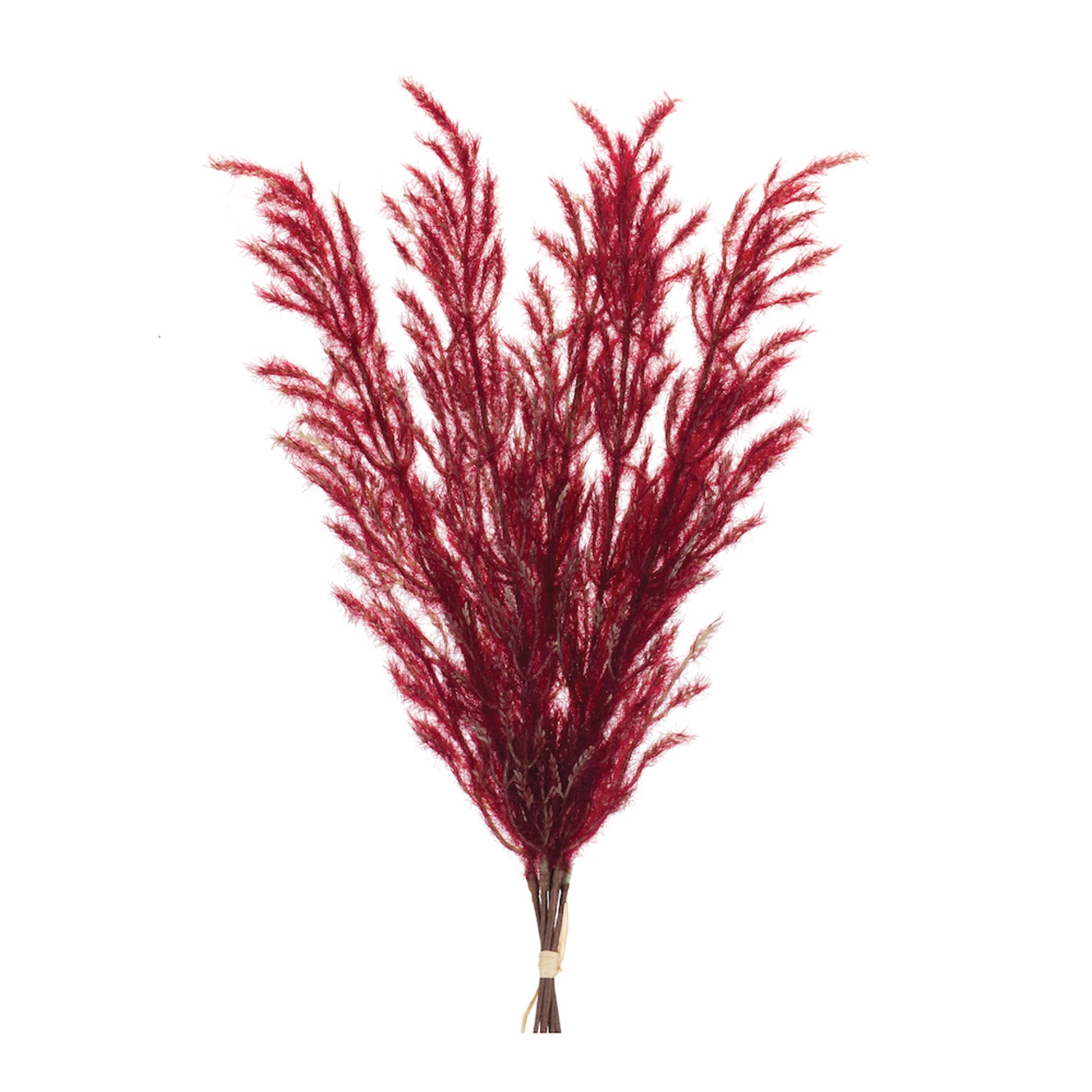 Set of six 31-inch burgundy plume bundles in rich crimson tones
