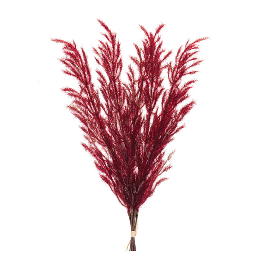 Set of six 31-inch burgundy plume bundles in rich crimson tones
