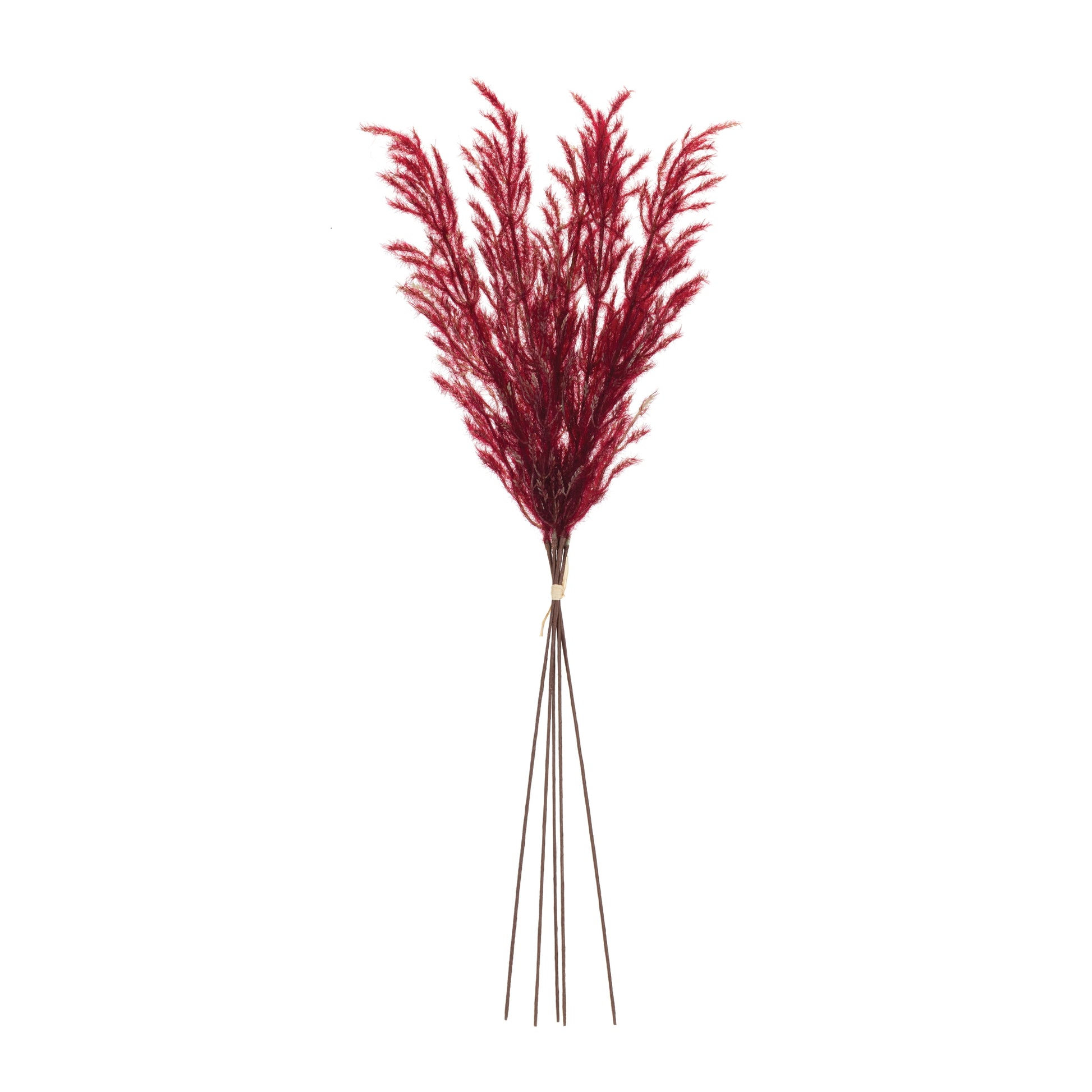 Set of six 31-inch burgundy plume bundles in rich crimson tones
