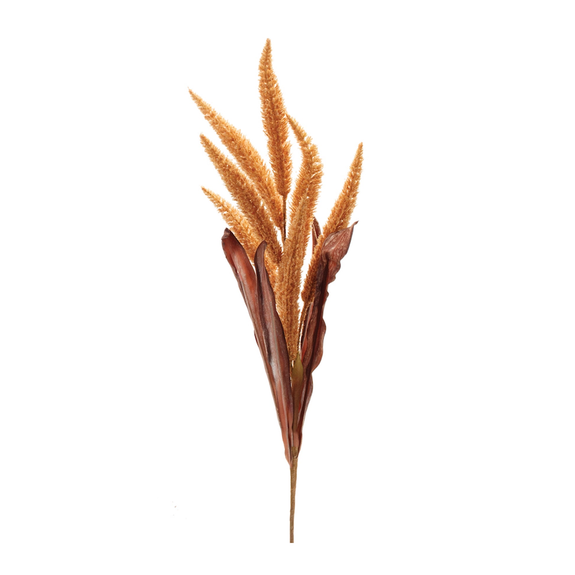 Two golden foxtail sprays (set of 2) with autumn tones and textured seed heads for fall décor

