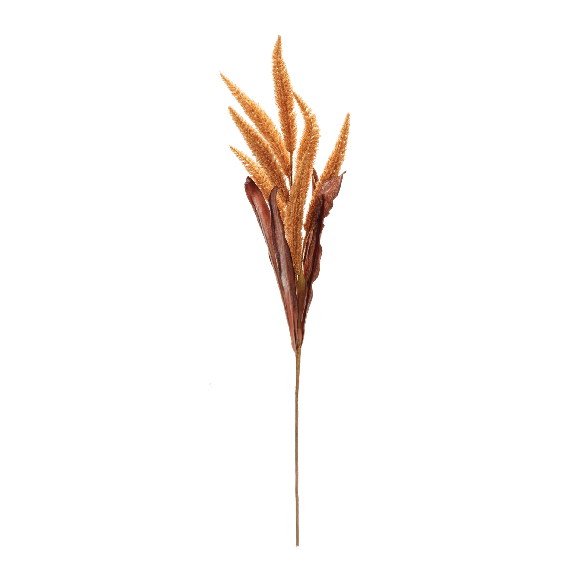 Two golden foxtail sprays (set of 2) with autumn tones and textured seed heads for fall décor
