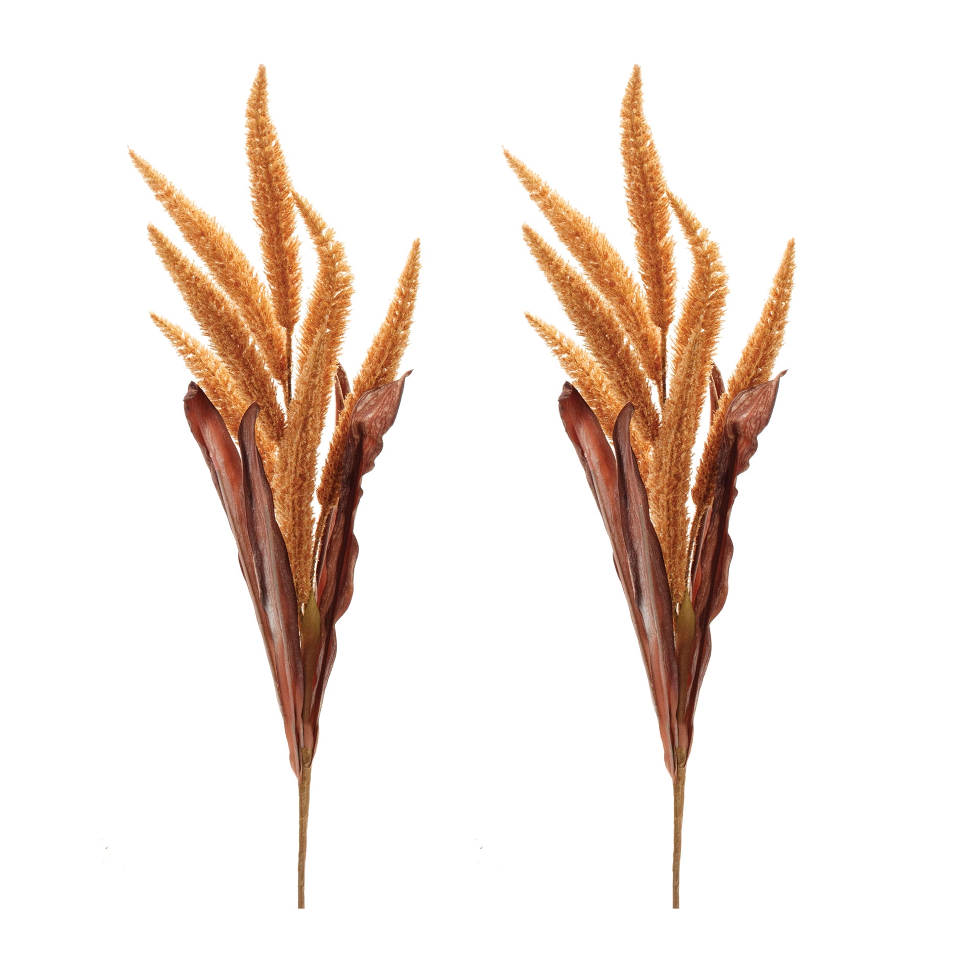 Two golden foxtail sprays (set of 2) with autumn tones and textured seed heads for fall décor
