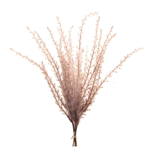 Set of six grass plume bundles with feathery beige plumes for rustic fall décor accents
