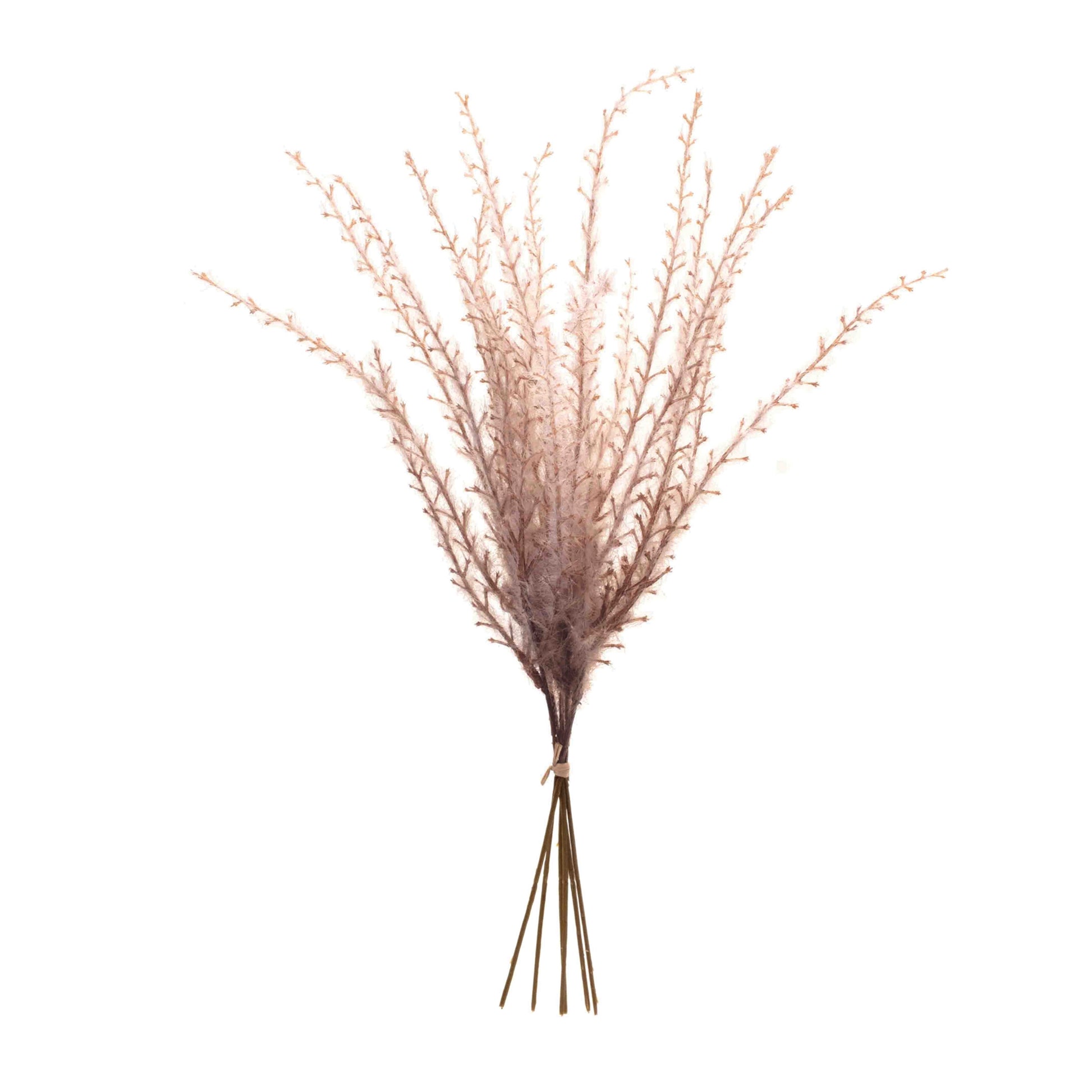 Set of six grass plume bundles with feathery beige plumes for rustic fall décor accents
