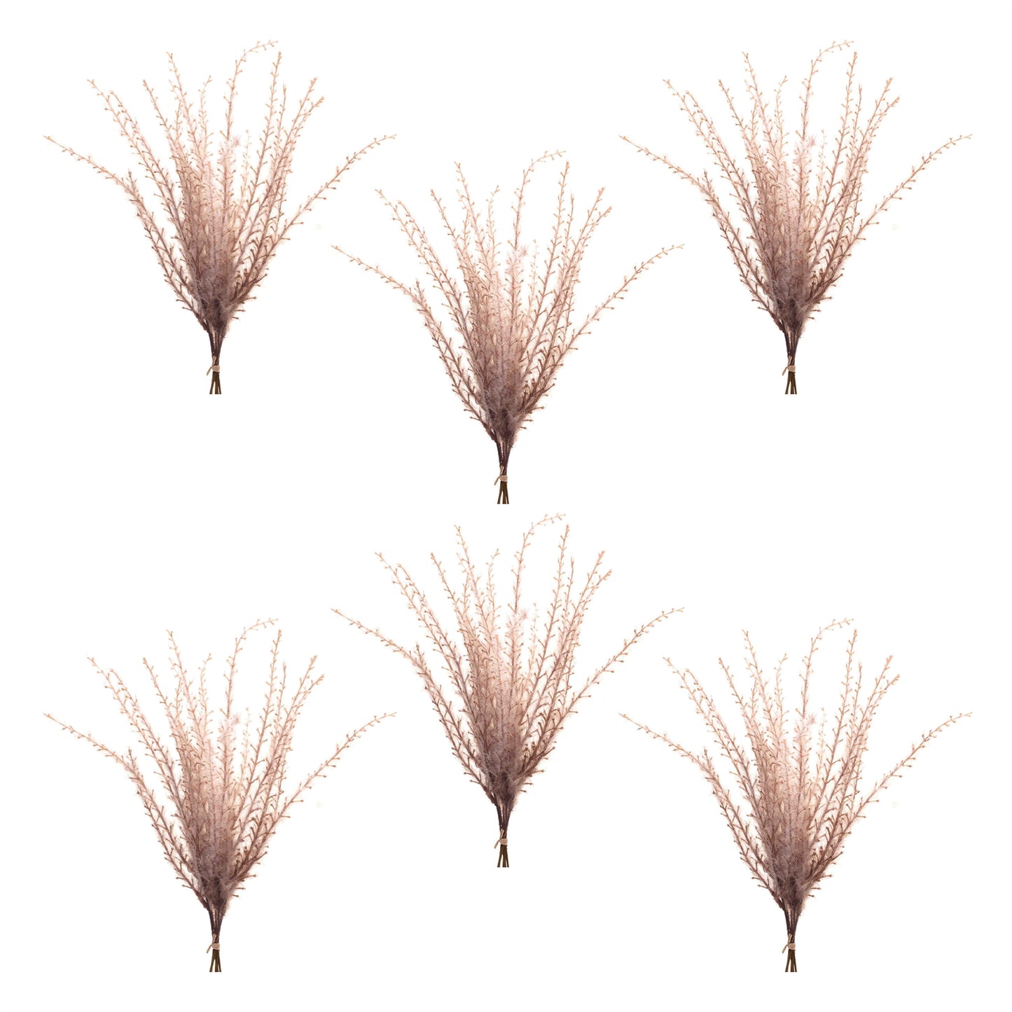 Set of six grass plume bundles with feathery beige plumes for rustic fall décor accents
