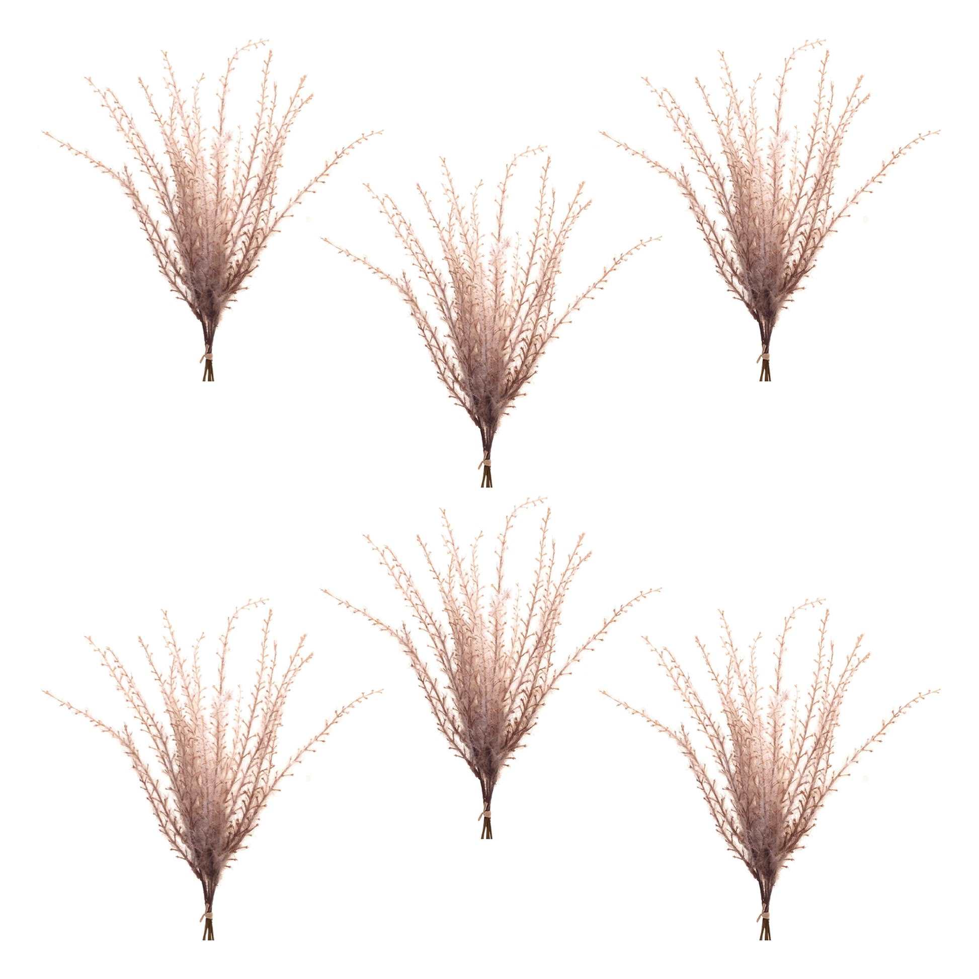 Set of six grass plume bundles with feathery beige plumes for rustic fall décor accents
