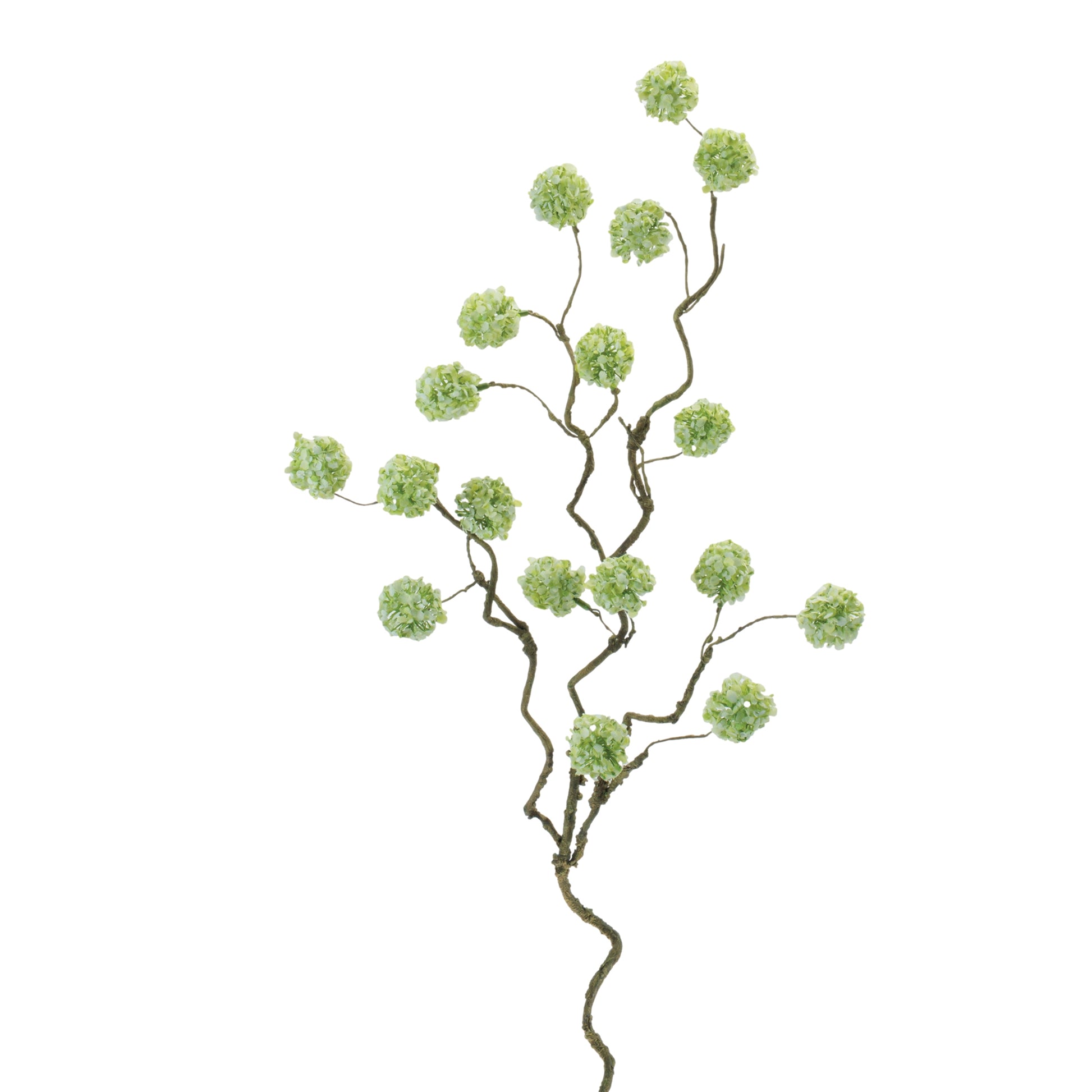 Close up detail of soft green snowball flowers and brown stems on faux branch