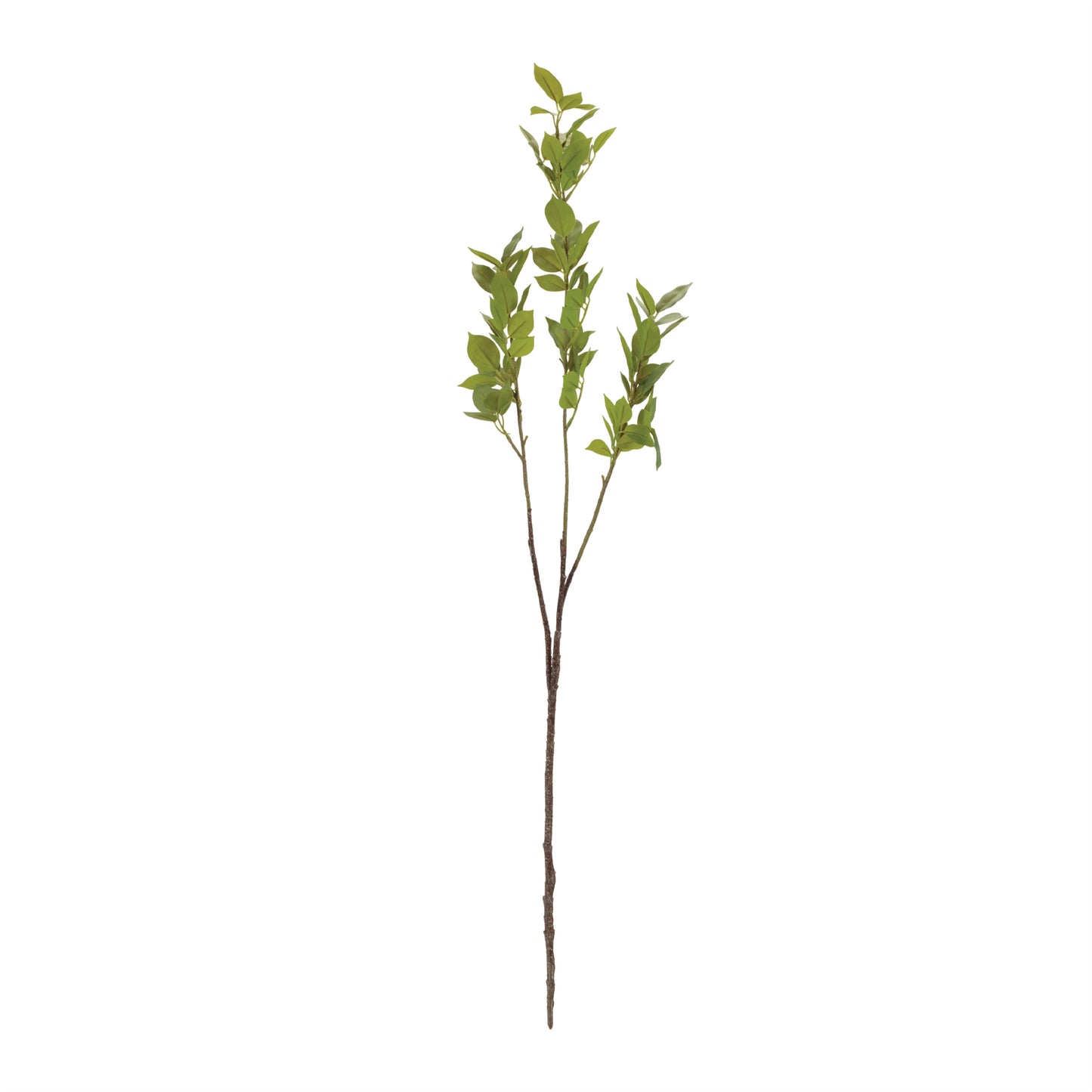 Tall floor vase with an arrangement of natural-looking leaf branches