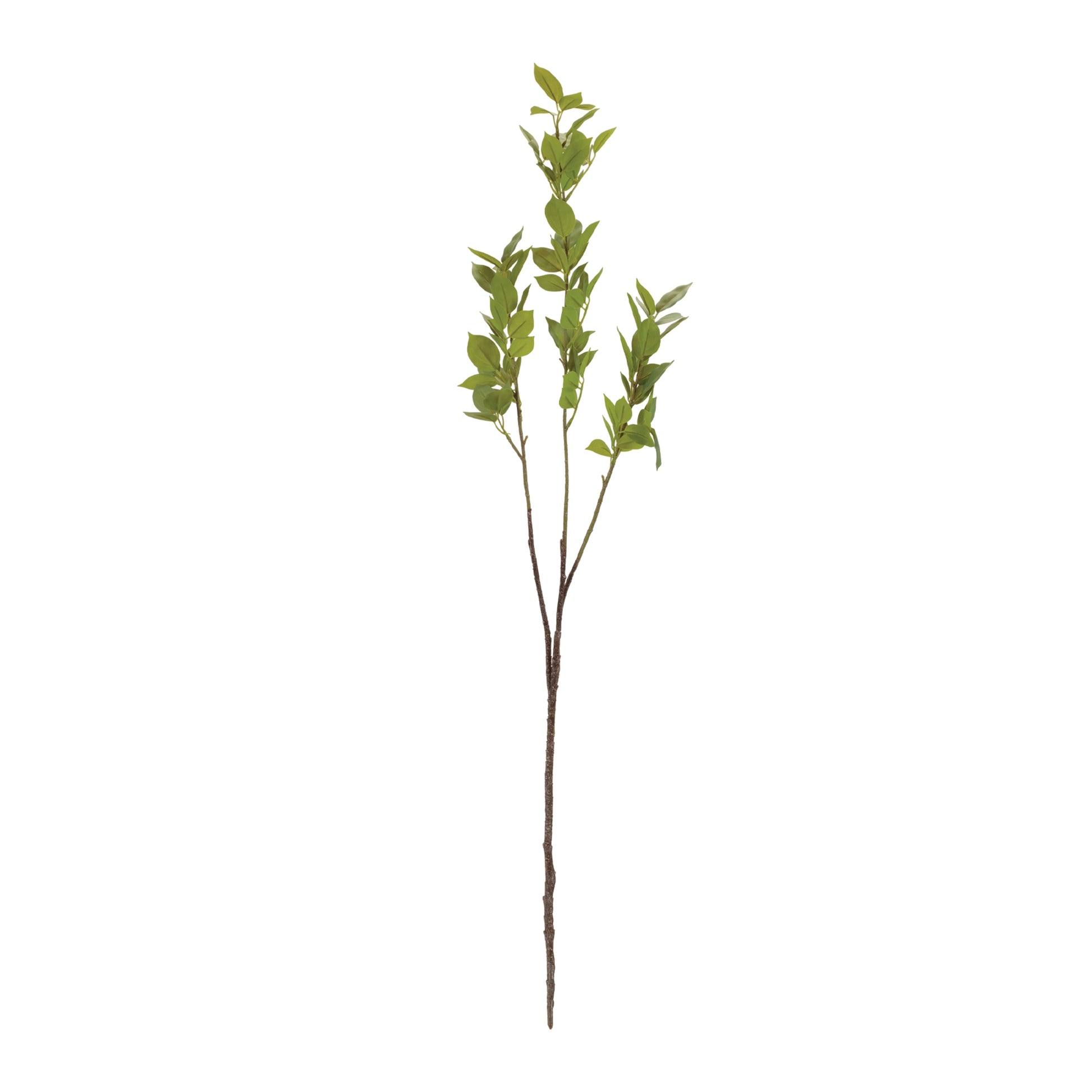 Tall floor vase with an arrangement of natural-looking leaf branches