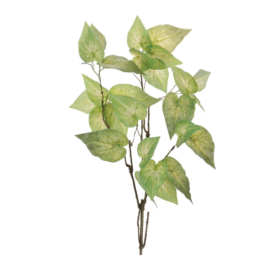 Set of 4 anthurium leaf branches with tropical glossy green foliage and wired stems
