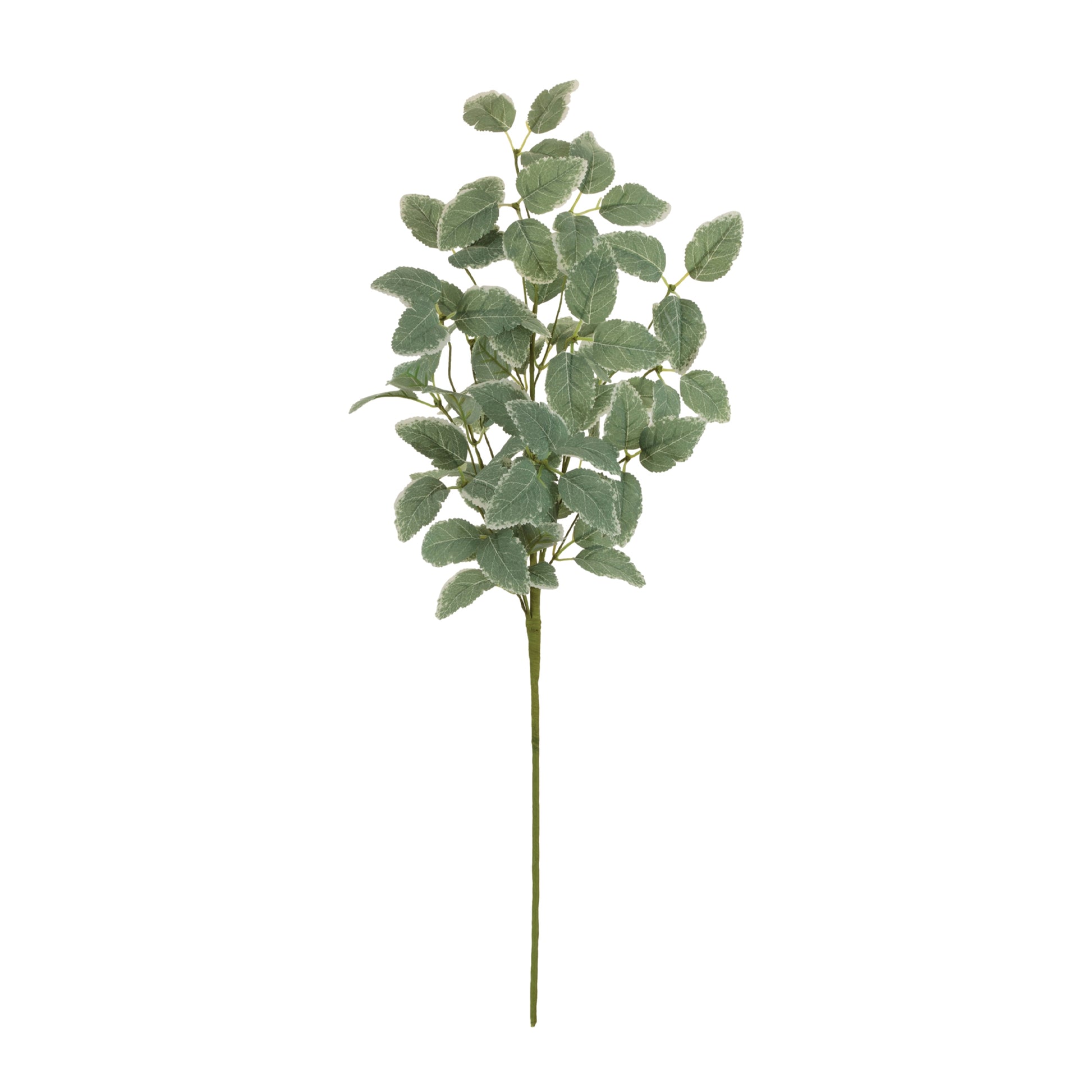 Set of 2 variegated foliage sprays with wired stems, natural green tones
