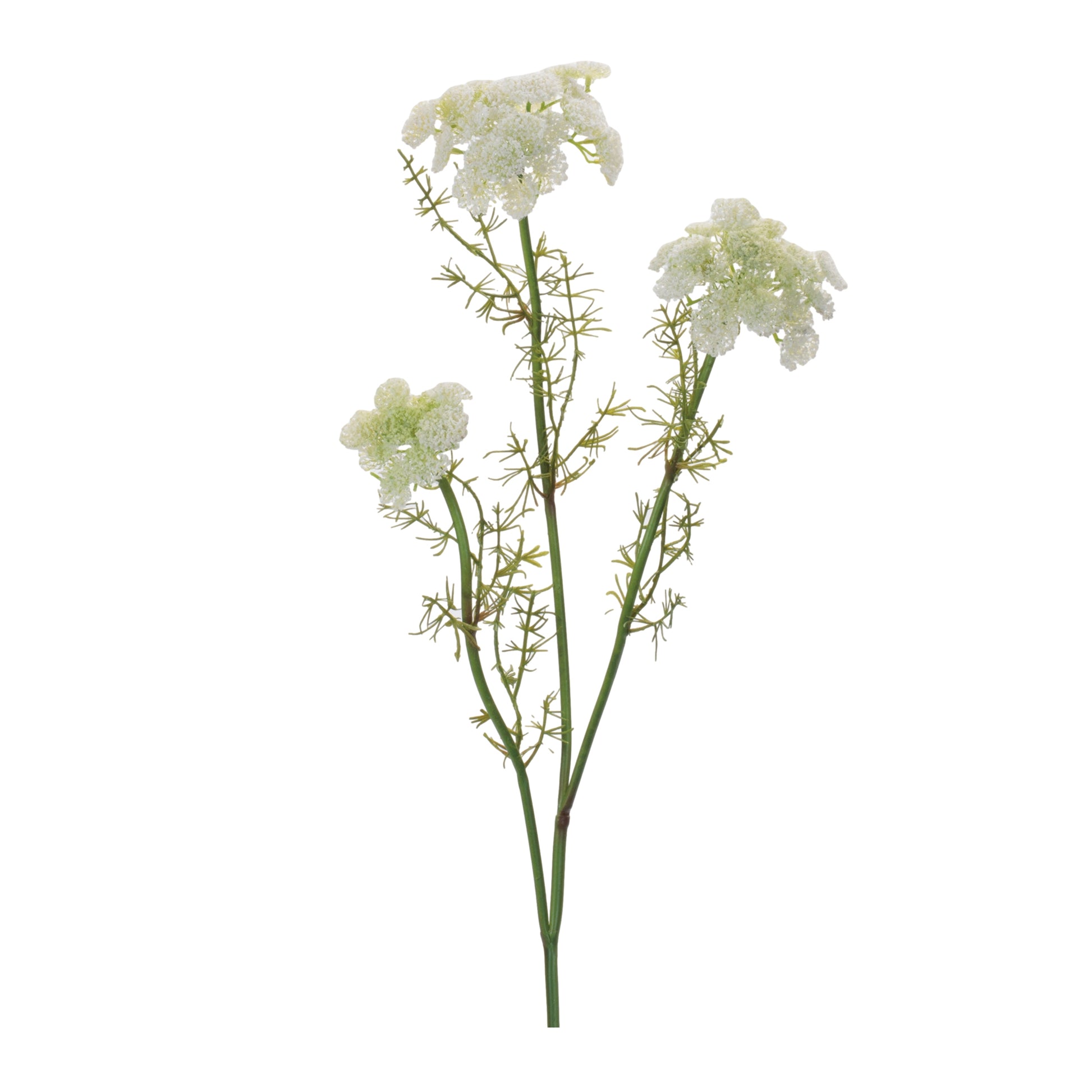 Set of 6 white Queen Anne’s Lace floral sprays with green foliage wired stems vintage style
