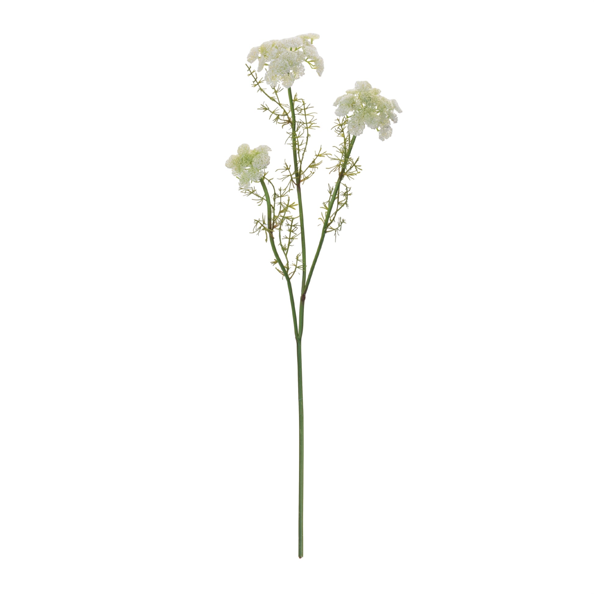 Set of 6 white Queen Anne’s Lace floral sprays with green foliage wired stems vintage style
