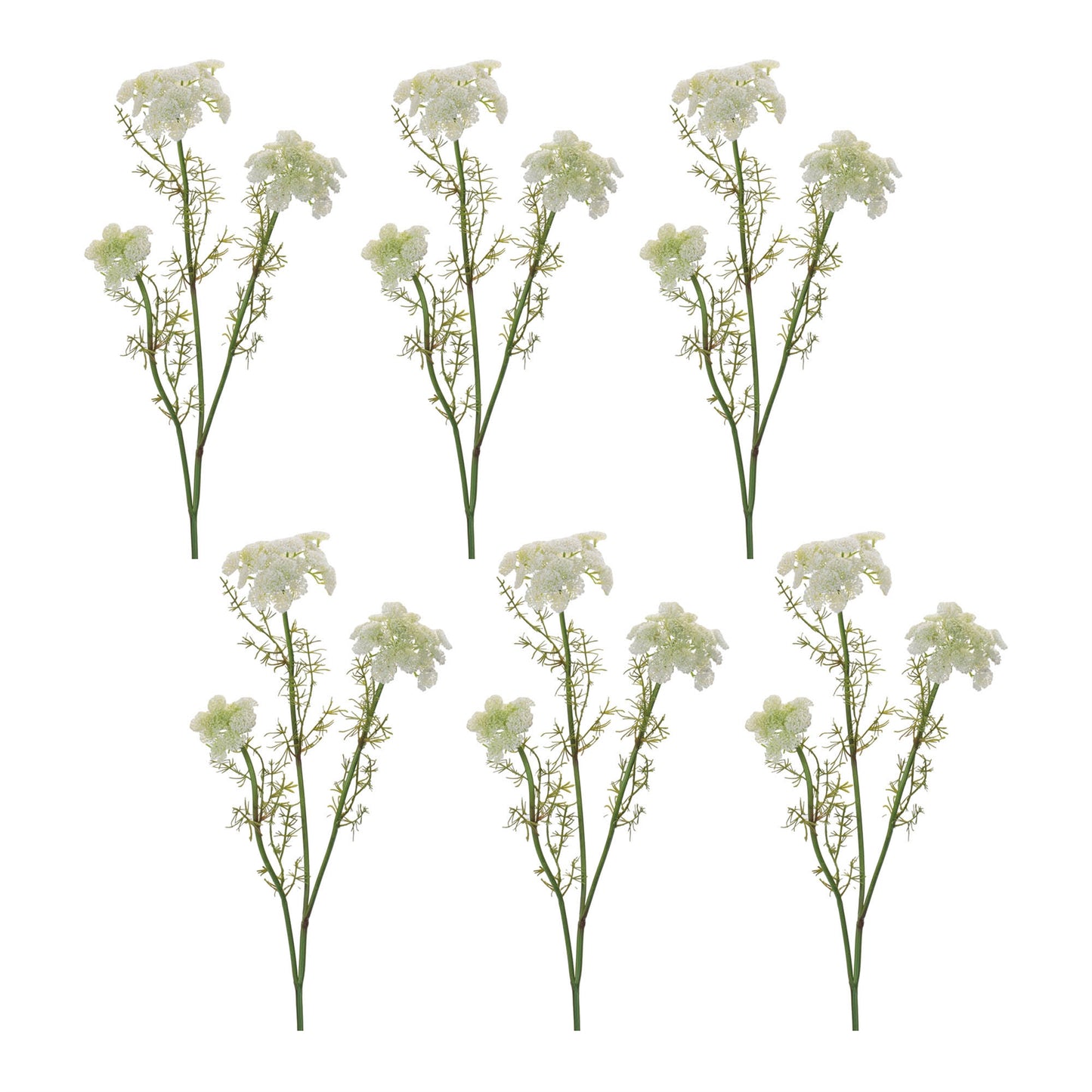 Set of 6 white Queen Anne’s Lace floral sprays with green foliage wired stems vintage style
