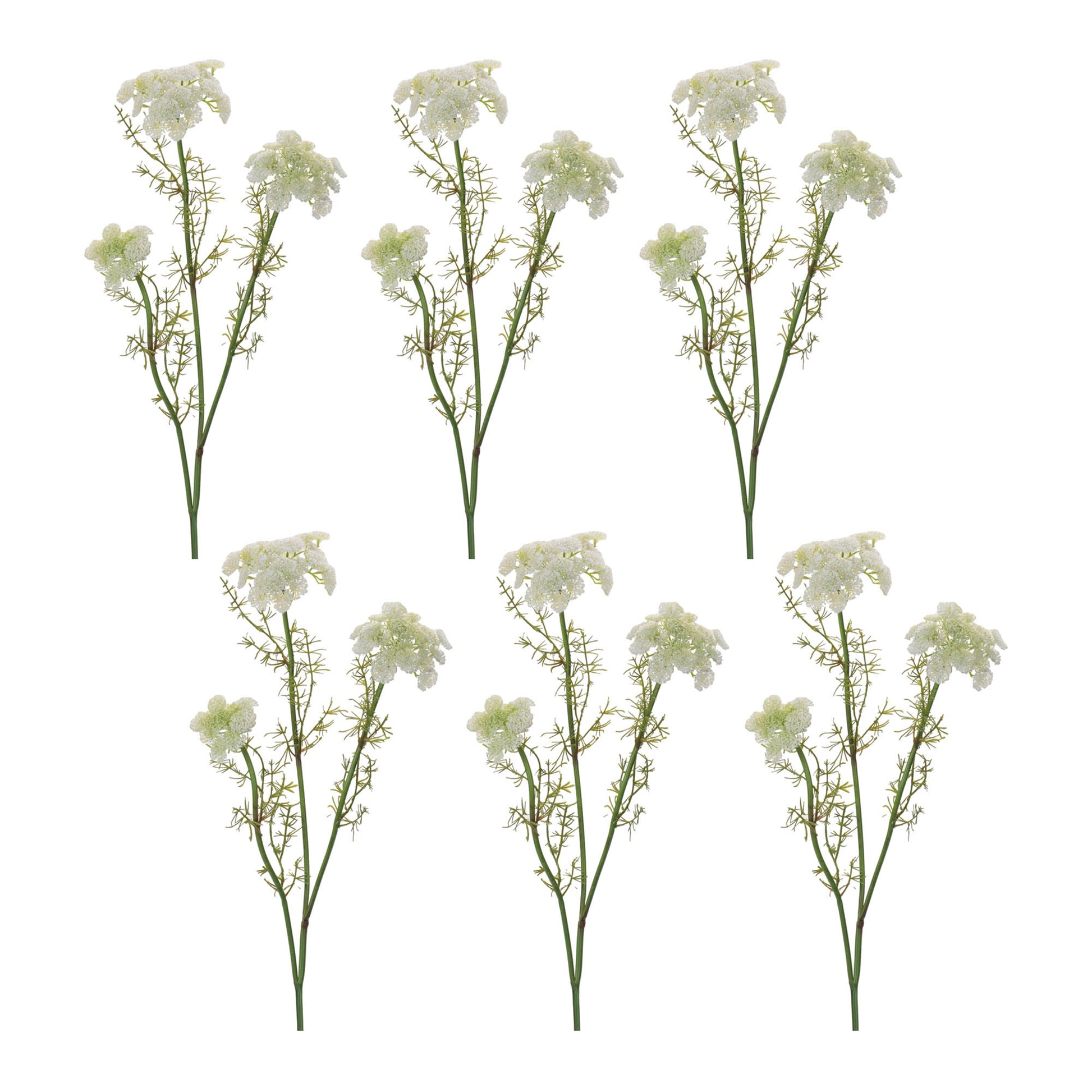 Set of 6 white Queen Anne’s Lace floral sprays with green foliage wired stems vintage style
