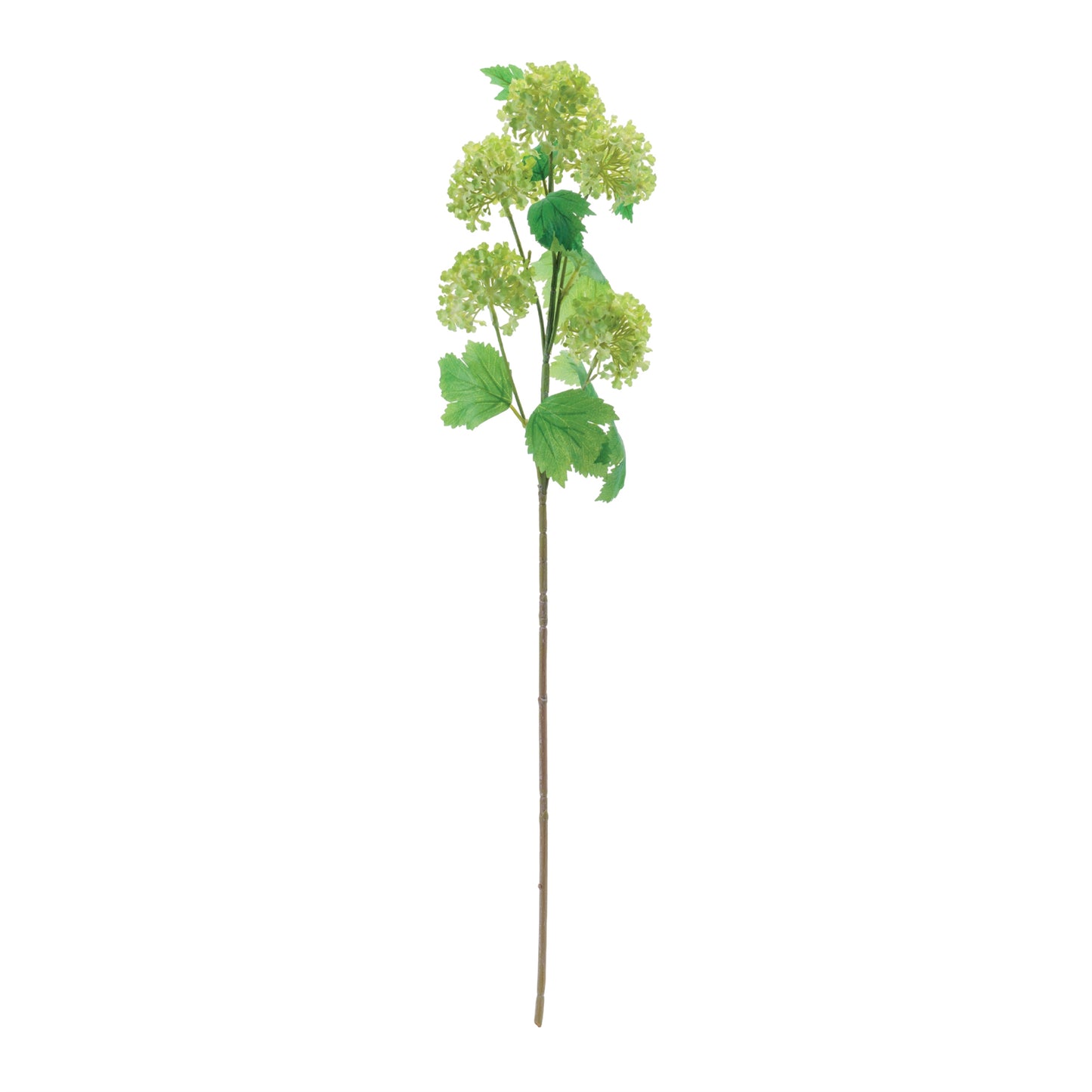 Set of 6 vibrant green snowball floral spray stems with realistic foliage, wired stems
