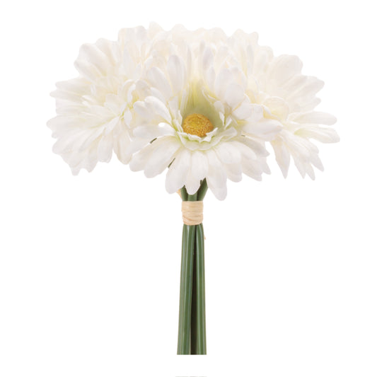 Set of 6 soft white gerbera daisy floral bundles with wired stems and raffia wrap spring accent
