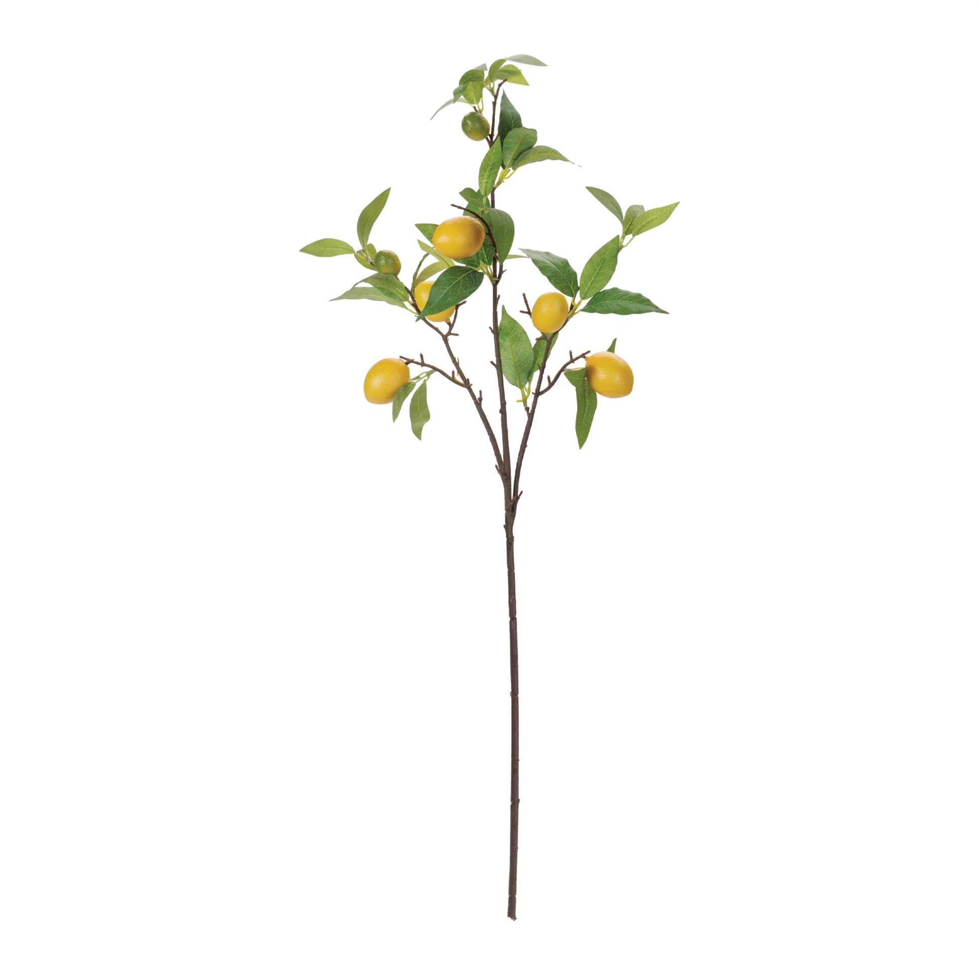 Set of six lemon fruit foliage branches with yellow lemons and green leaves, wired stems for decorative accents
