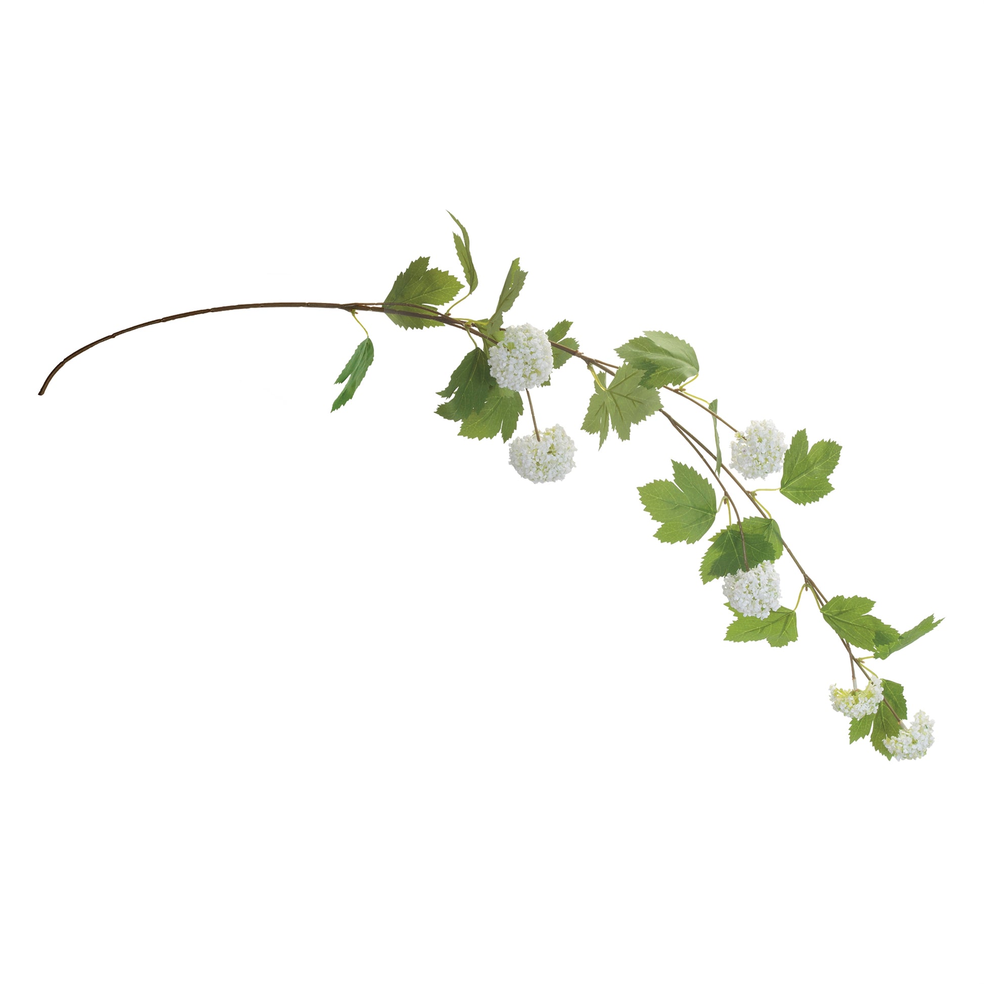 Set of six white snowball Viburnum floral branches with green foliage, wired stems for hanging or decorative displays
