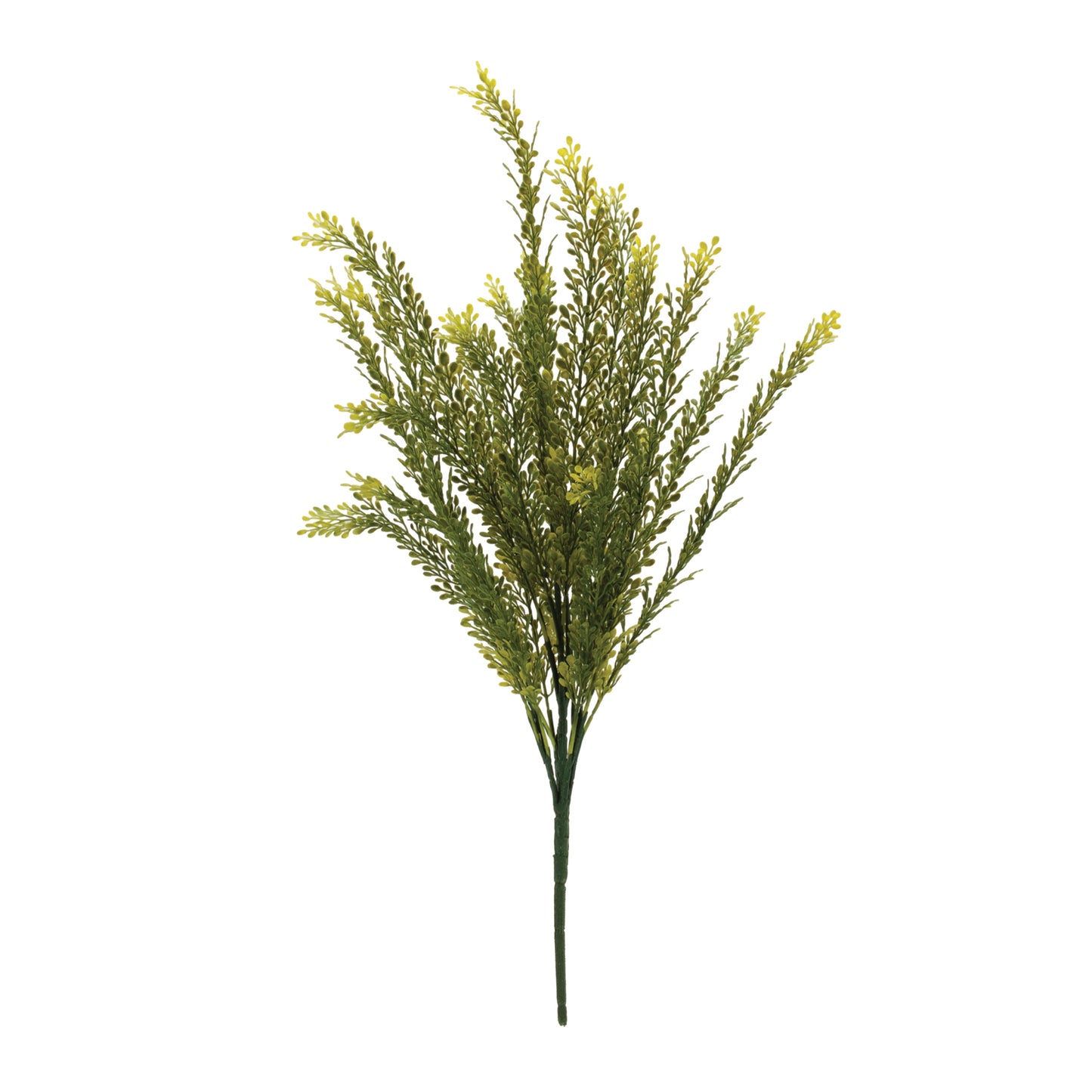 Set of six baby tears foliage bushes in vibrant green with delicate leaves and wired stems for interior décor
