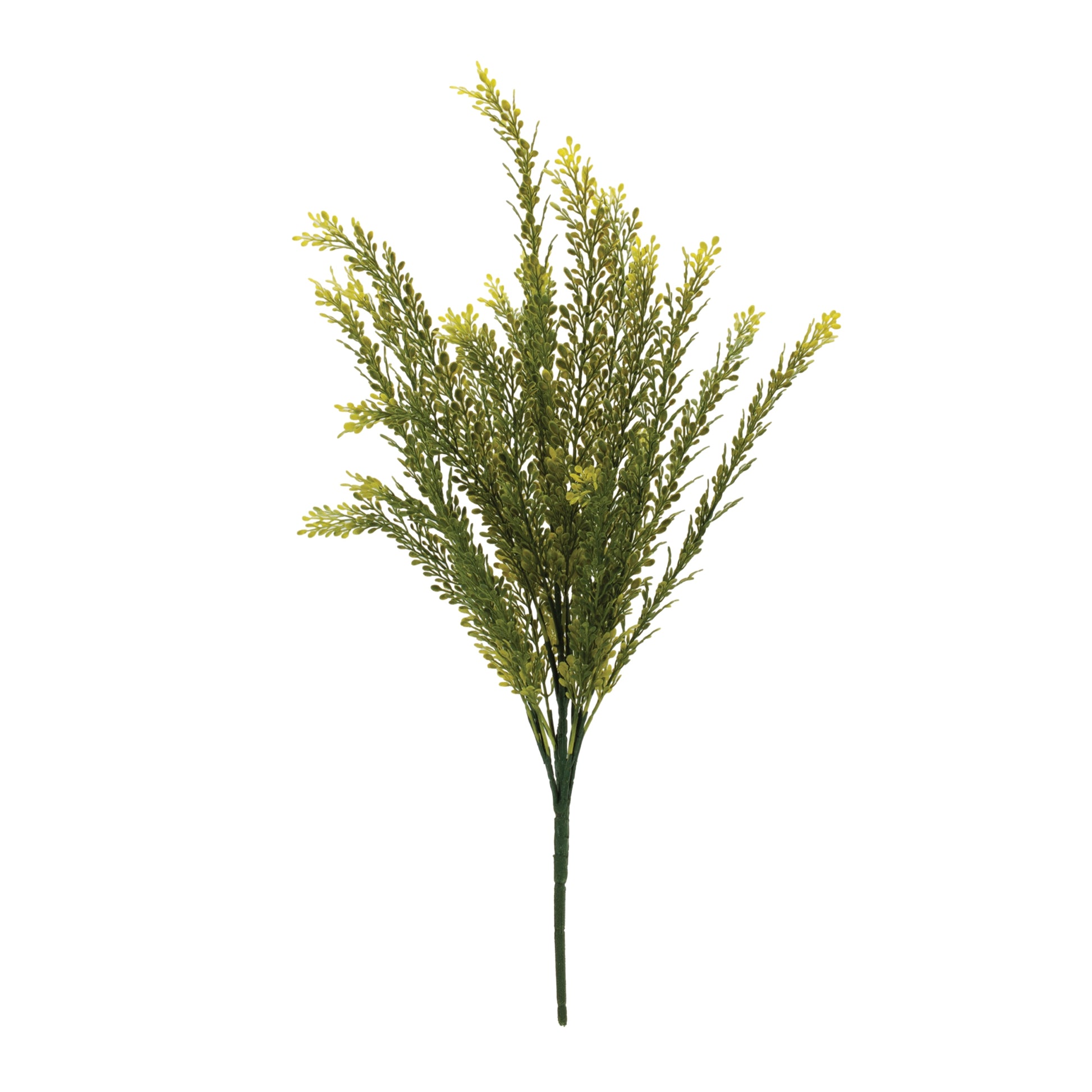 Set of six baby tears foliage bushes in vibrant green with delicate leaves and wired stems for interior décor
