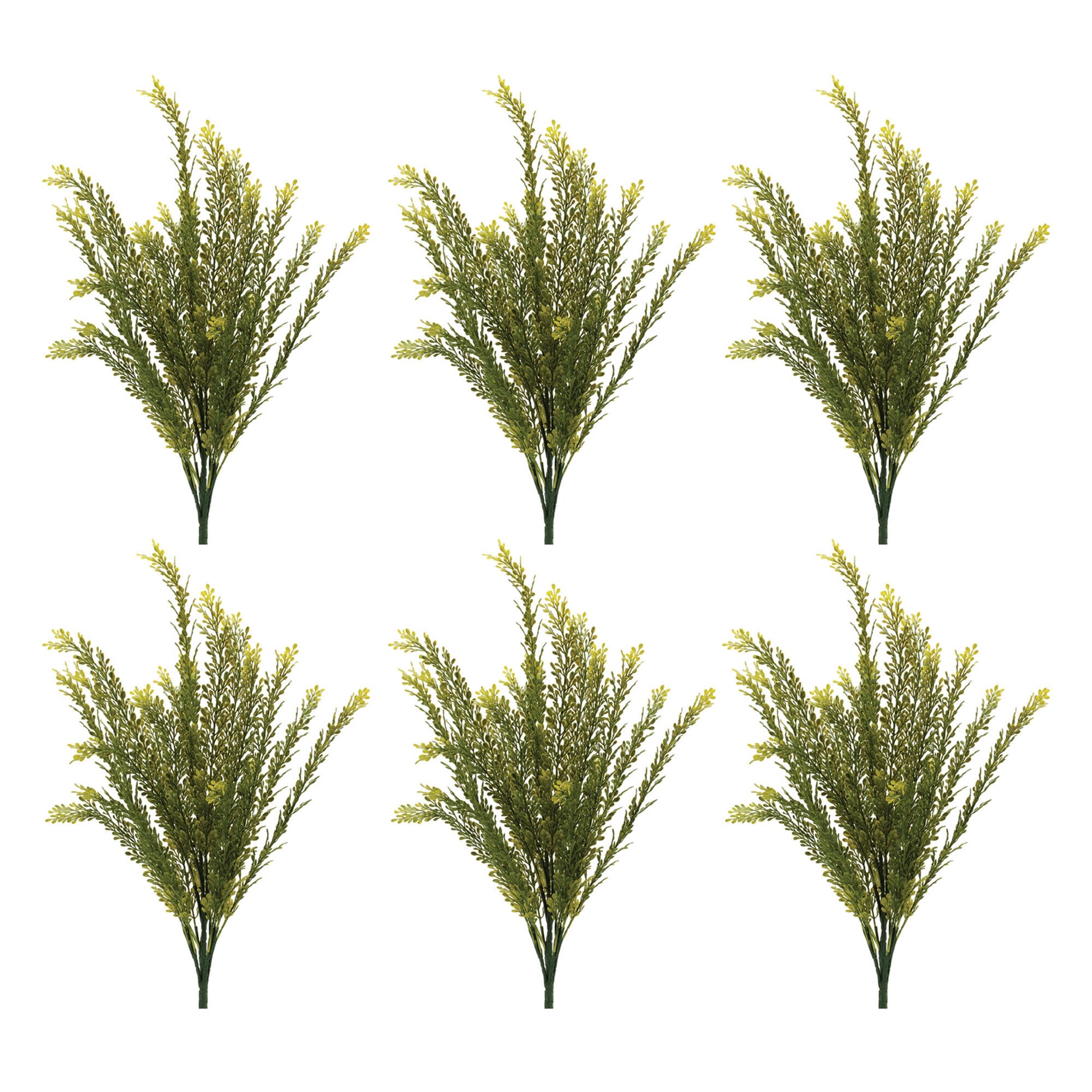 Set of six baby tears foliage bushes in vibrant green with delicate leaves and wired stems for interior décor
